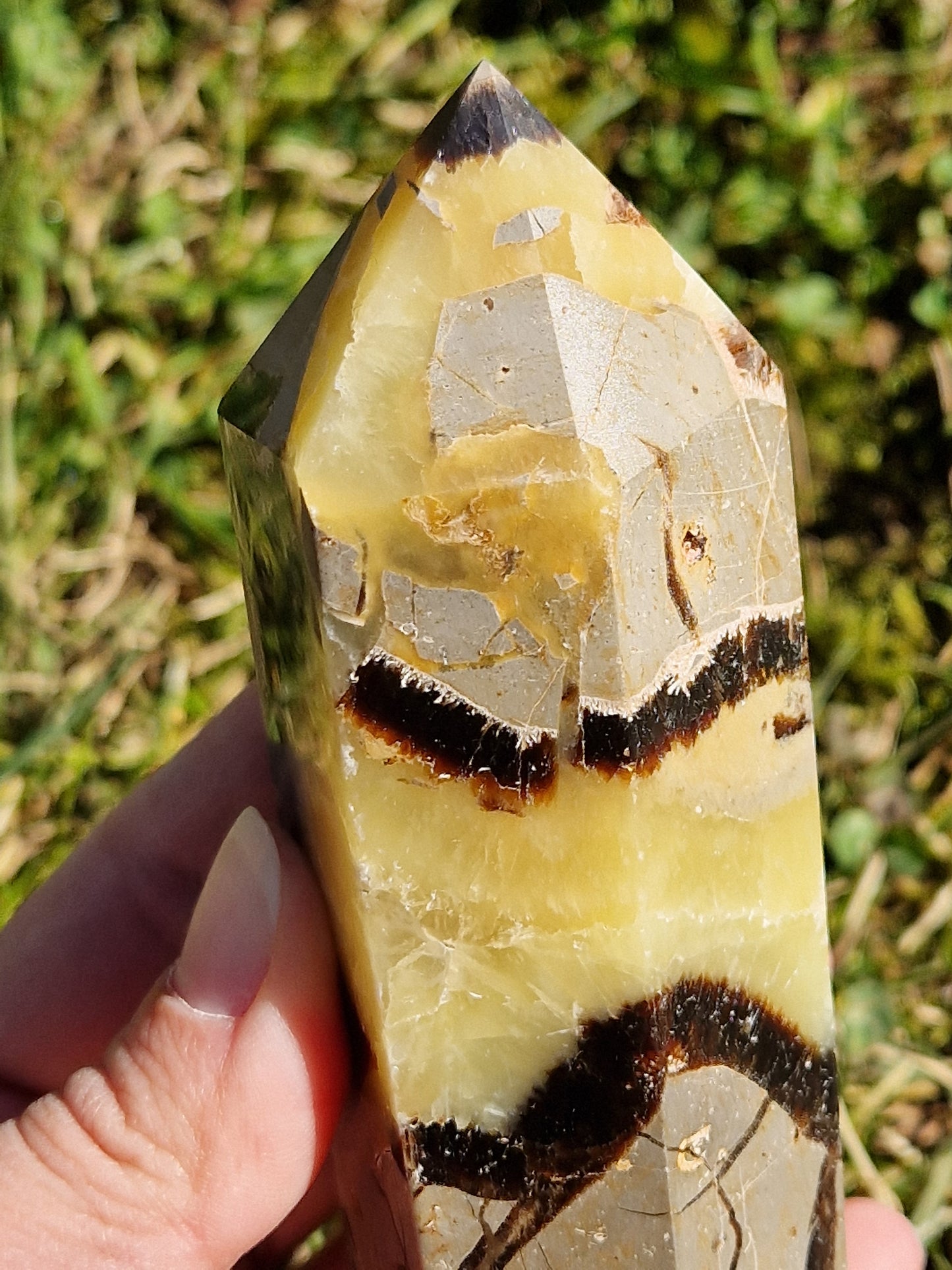 Pointe Septaria A