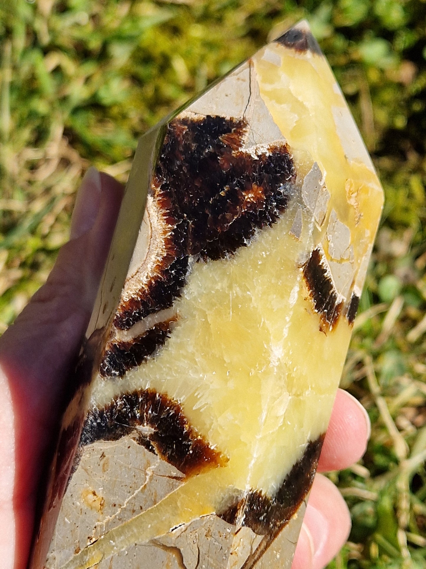 Pointe Septaria A