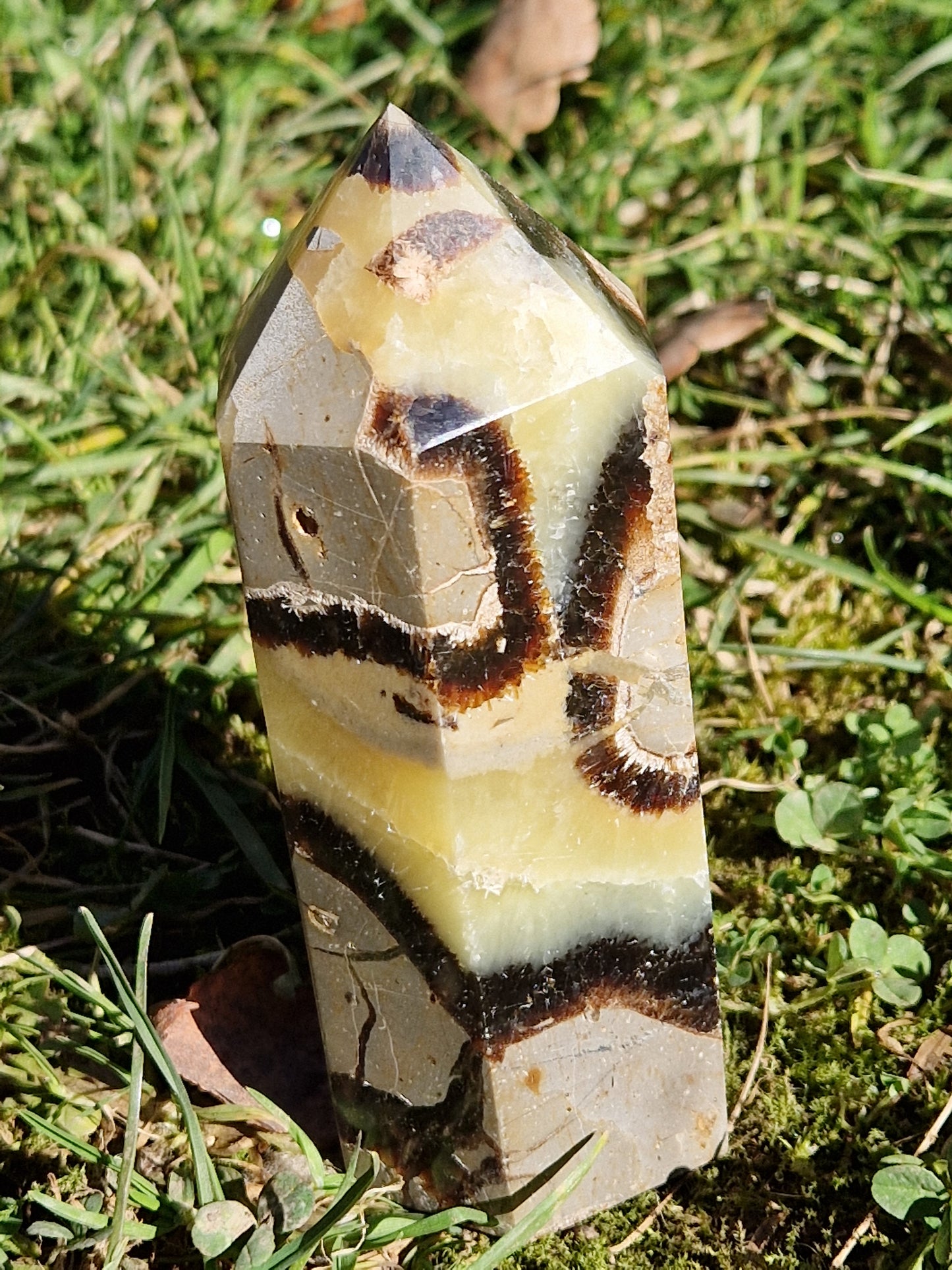 Pointe Septaria A