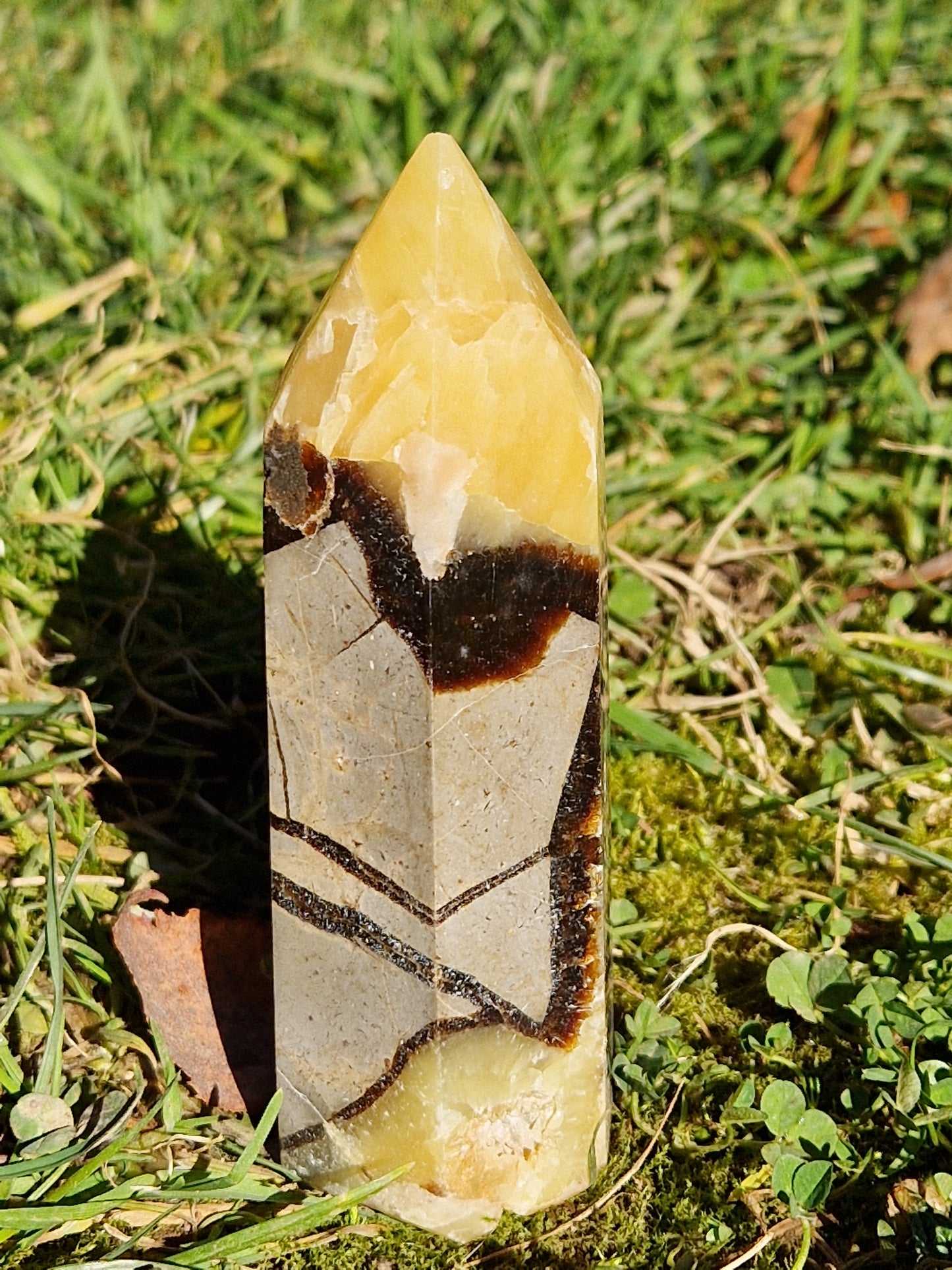 Pointe Septaria B