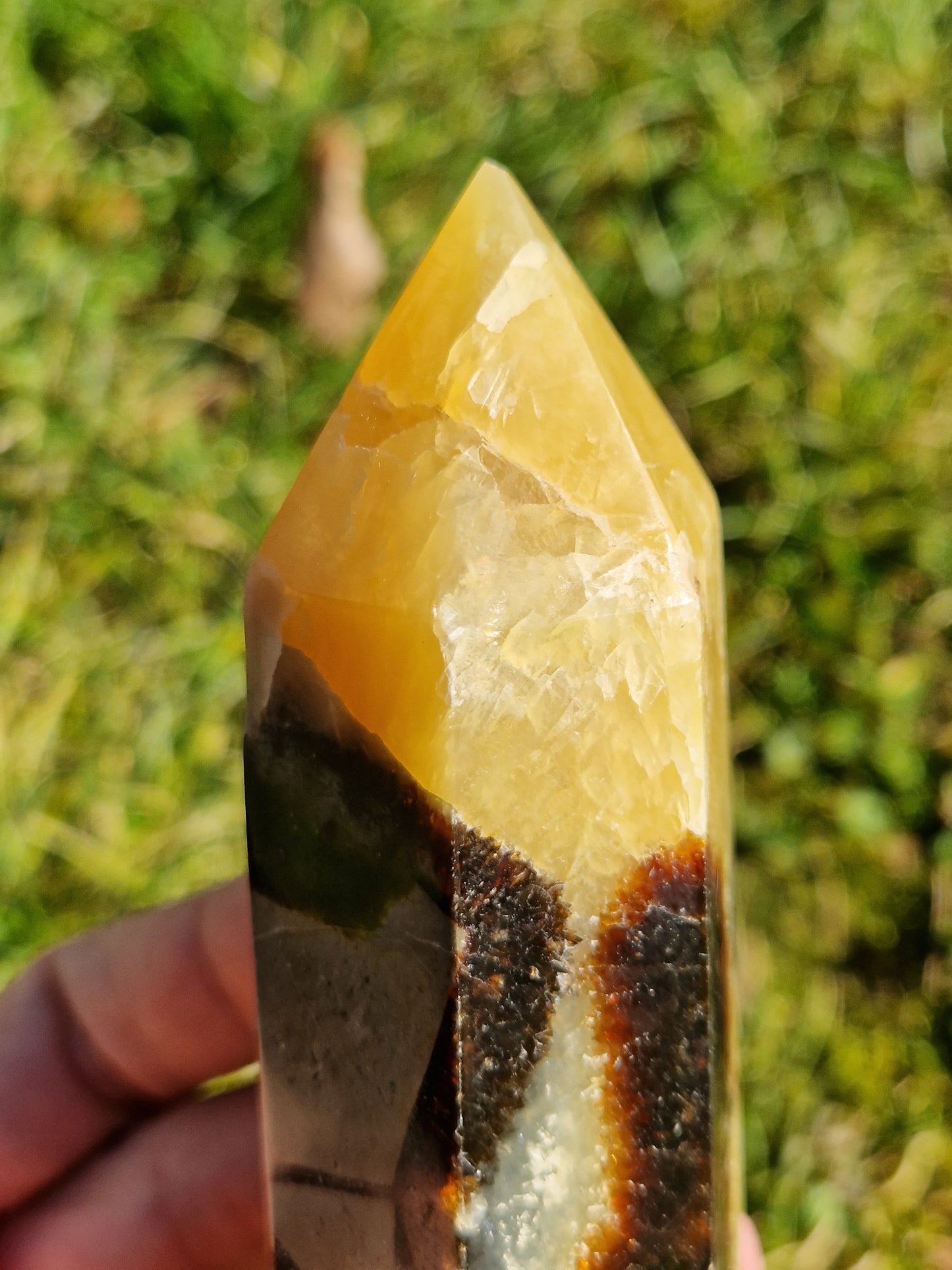 Pointe Septaria B