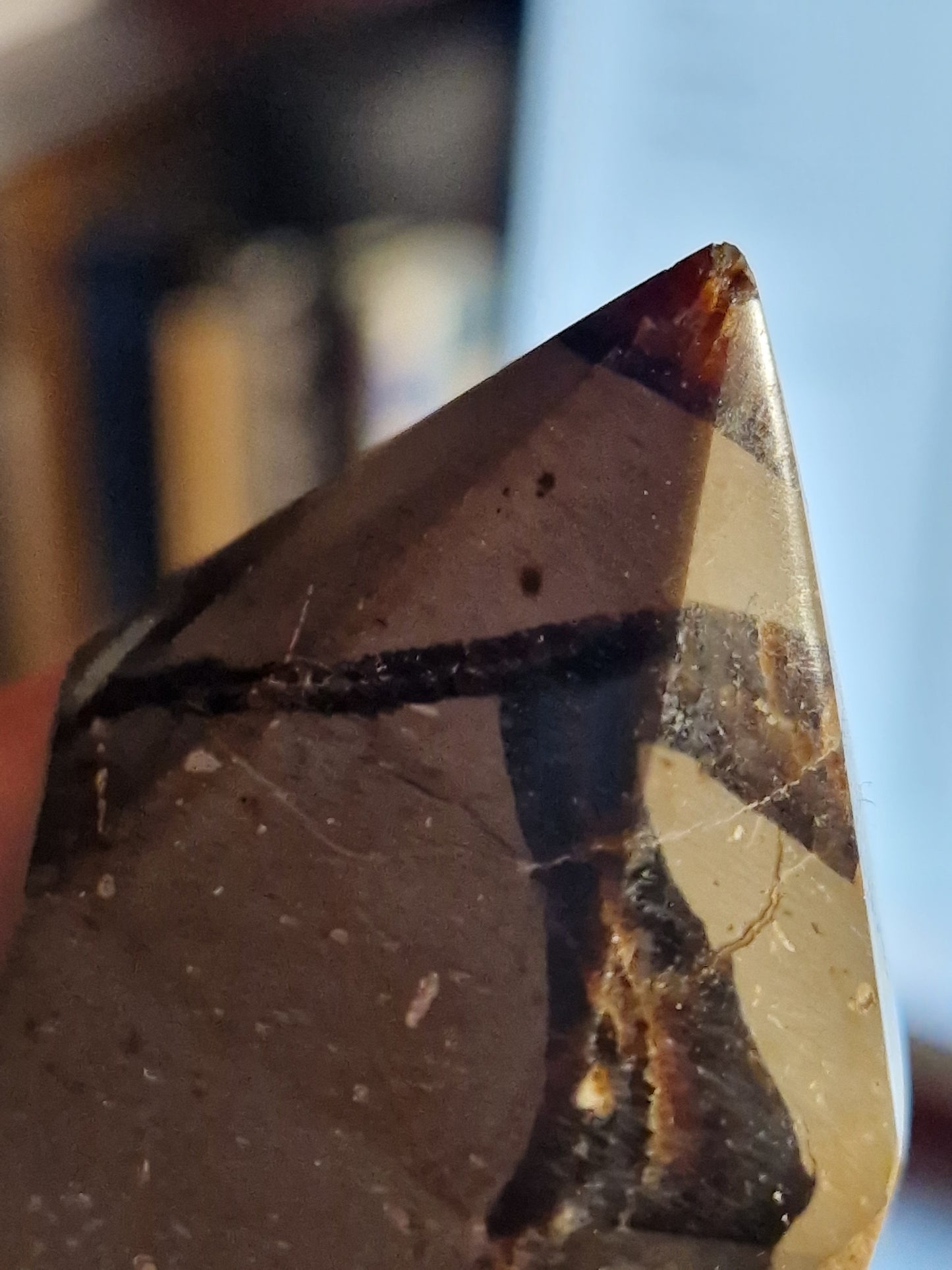 Pointe Septaria C