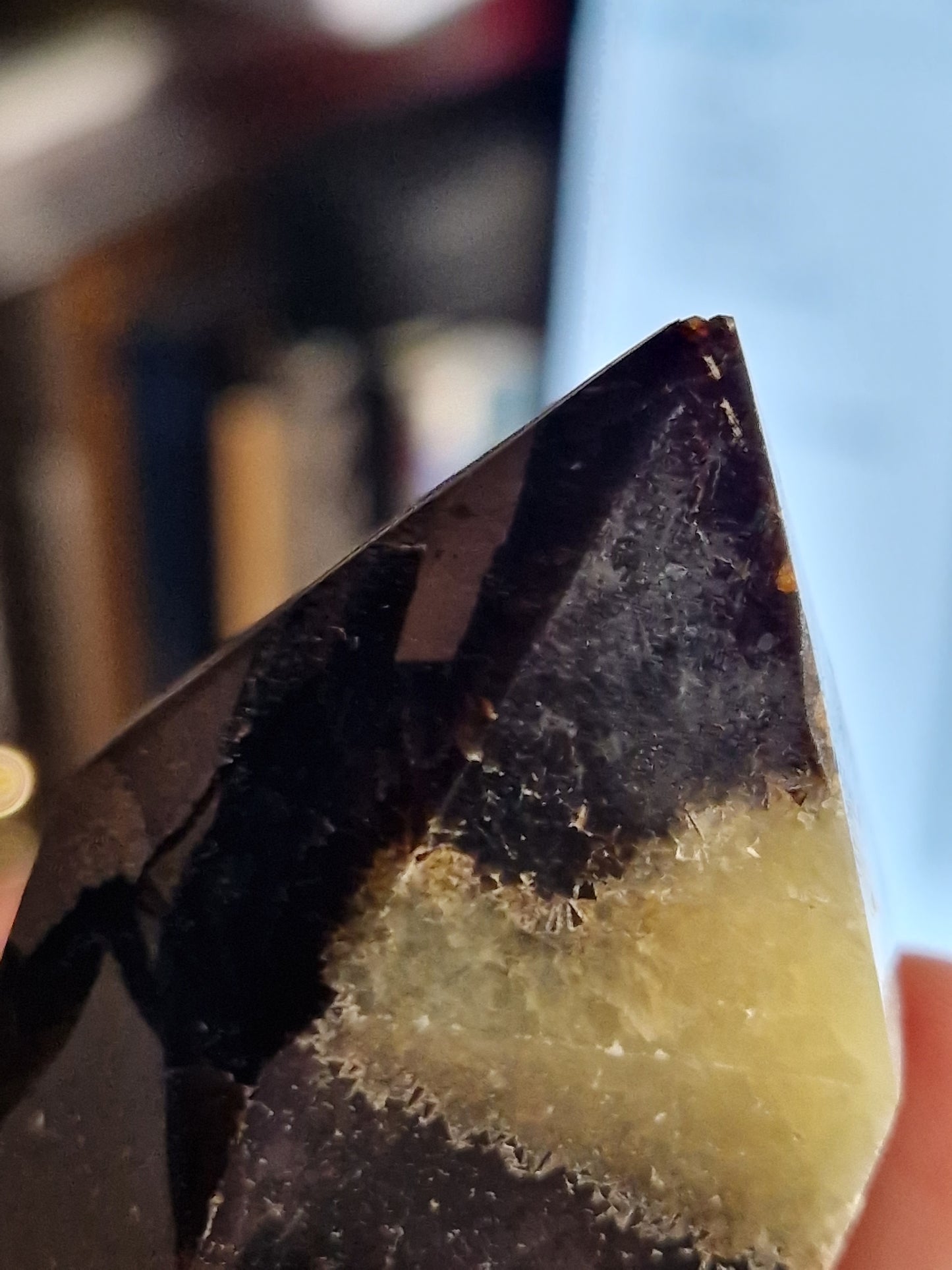 Pointe Septaria C
