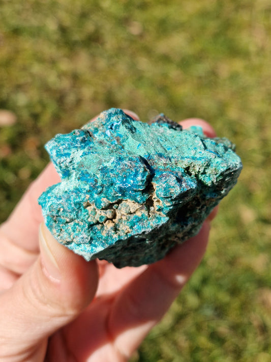 Chrysocolle brute extra (à choisir)