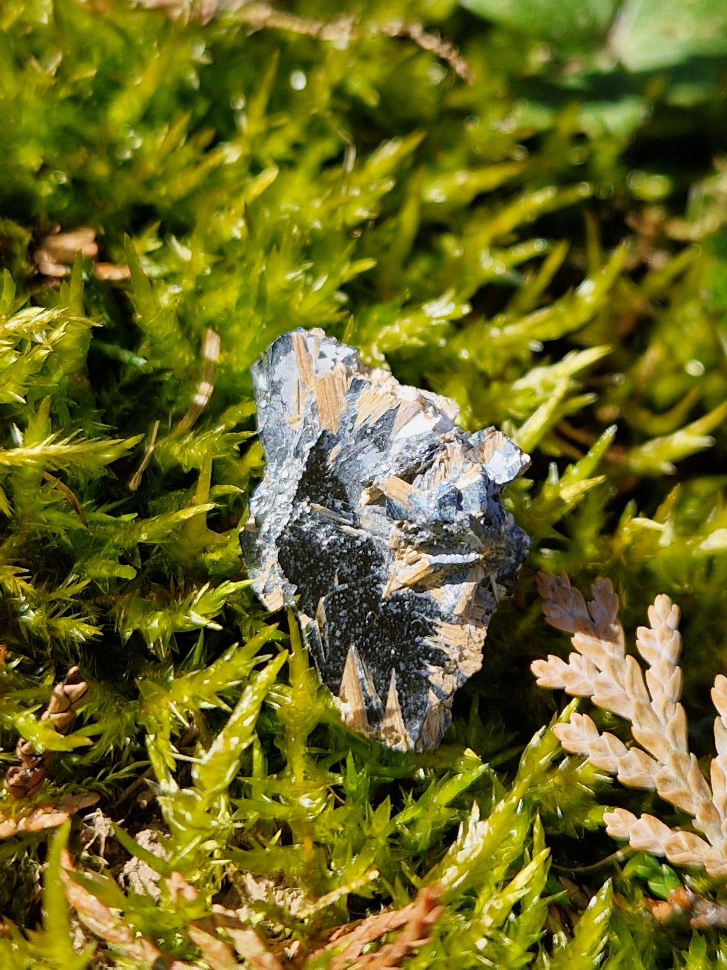 Rutile Hématite cristallisé G