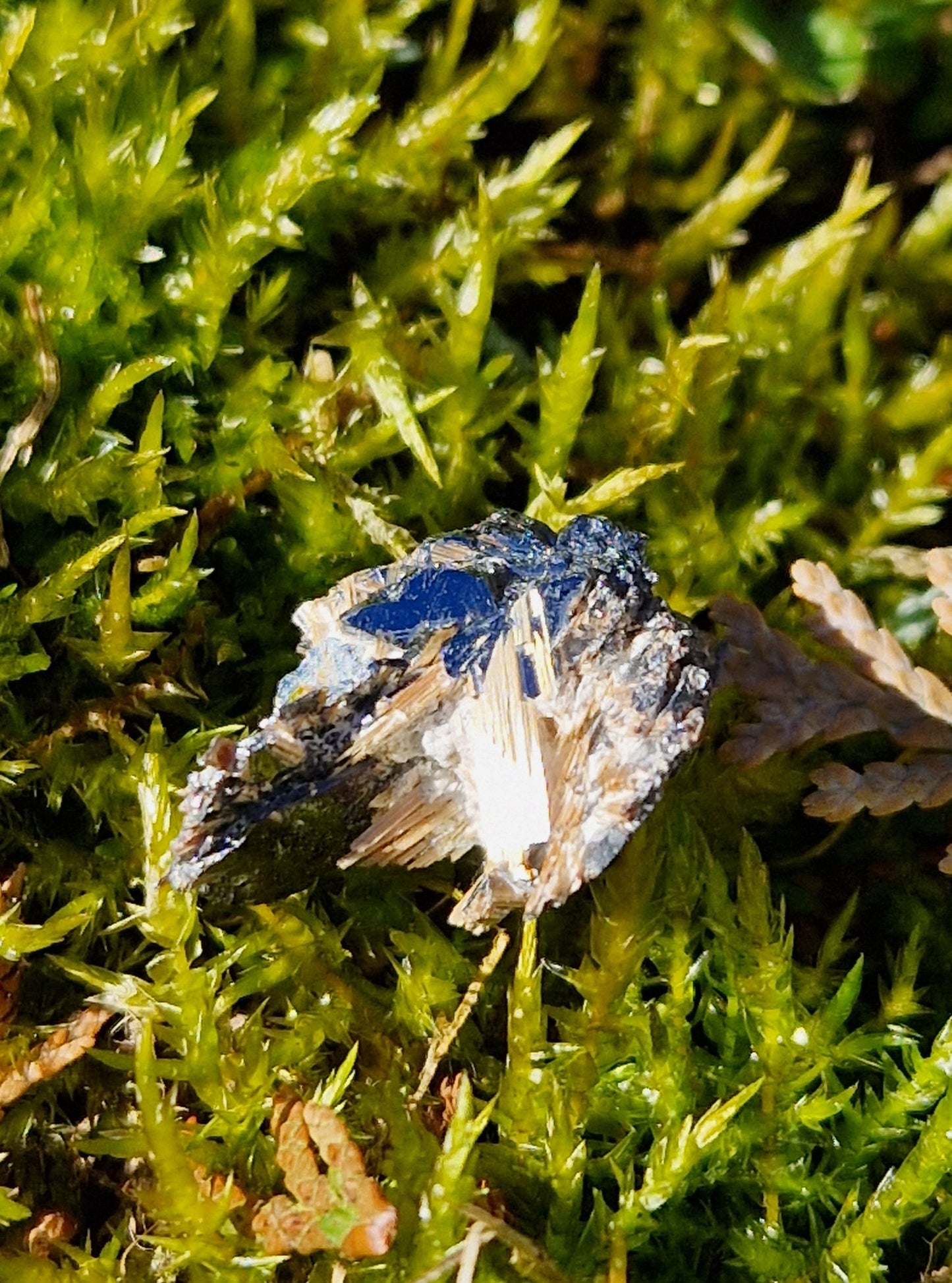 Rutile Hématite cristallisé G