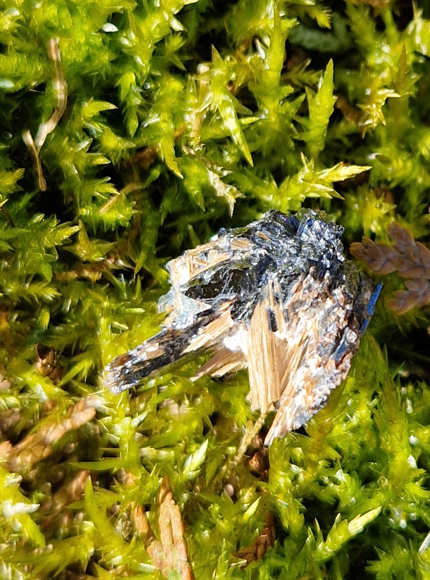 Rutile Hématite cristallisé G