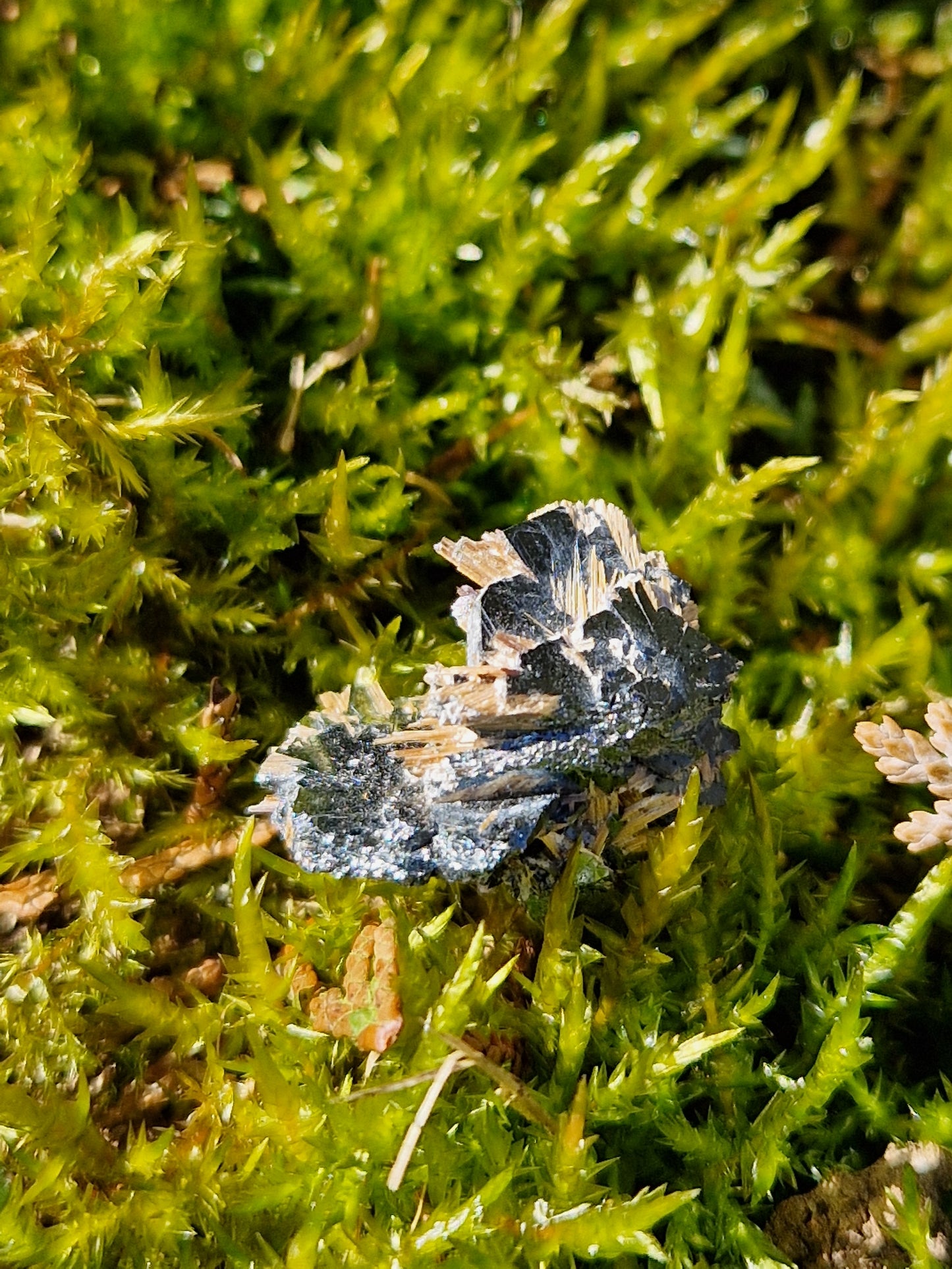 Rutile Hématite cristallisé G