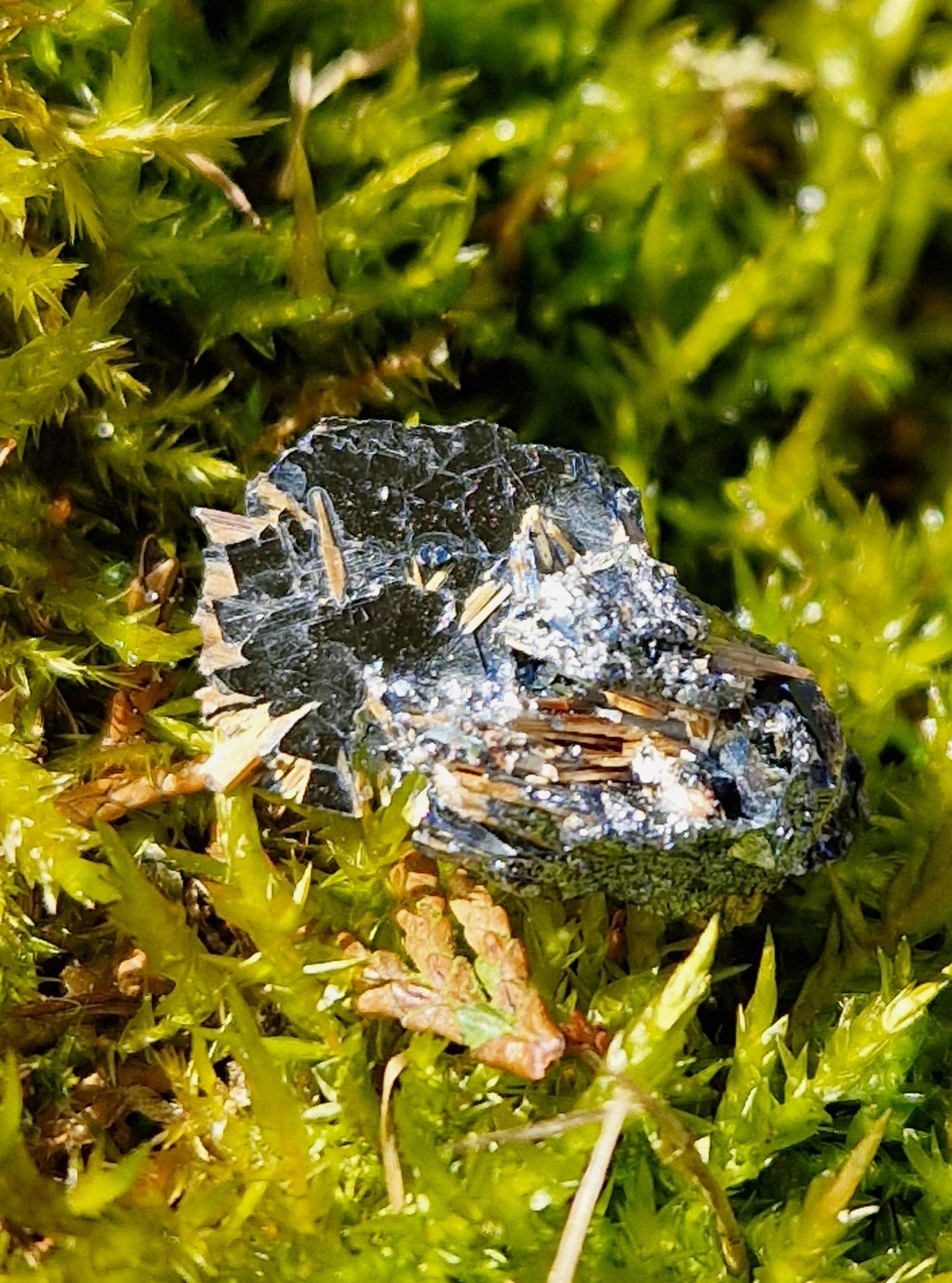 Rutile Hématite cristallisé G