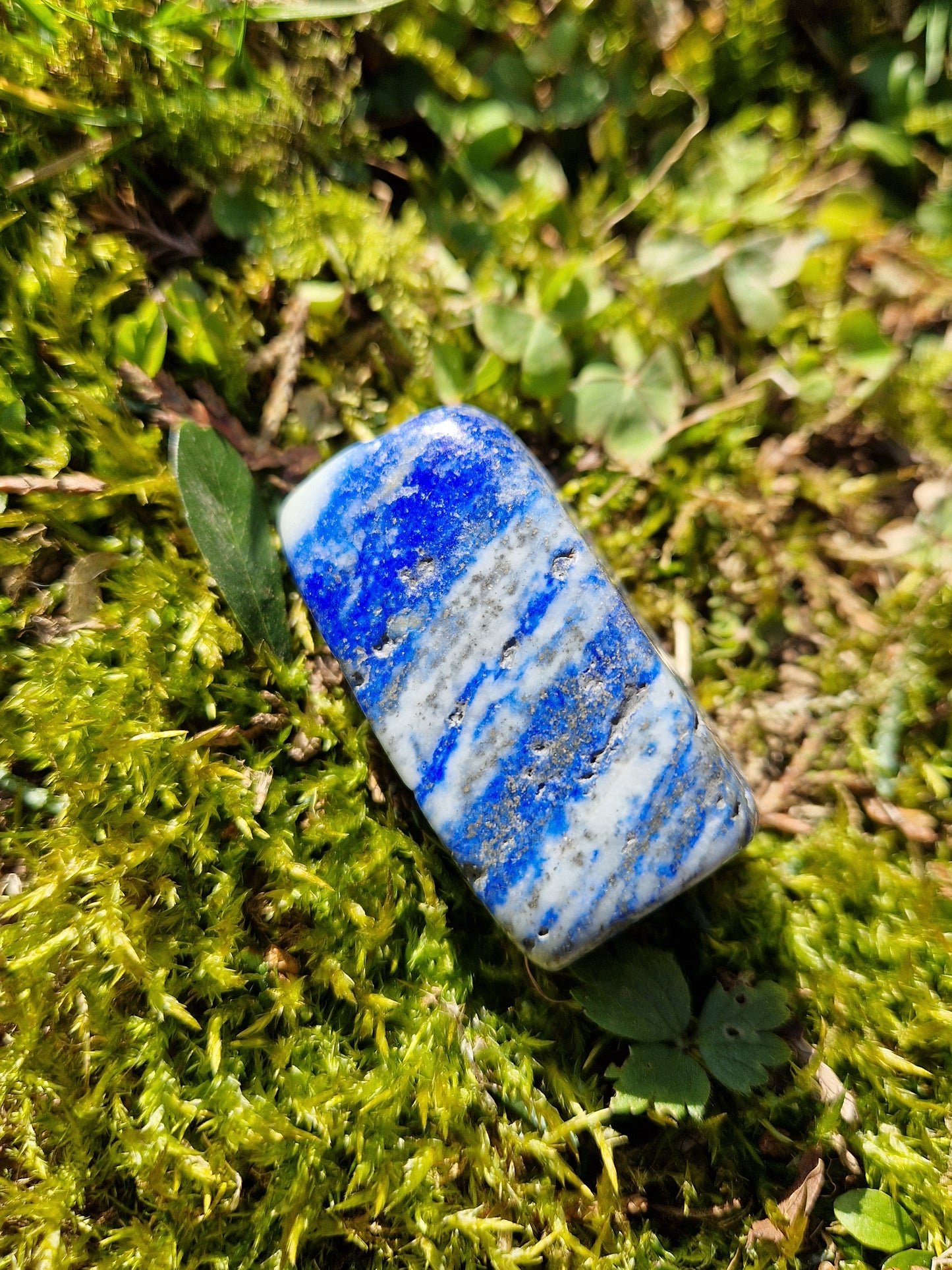 Forme libre Lapis Lazuli (à choisir)