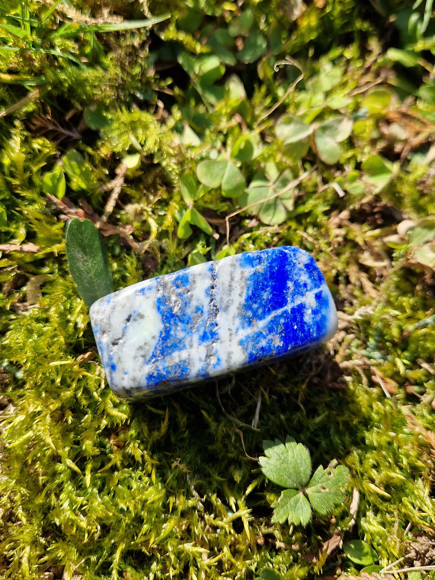 Forme libre Lapis Lazuli (à choisir)