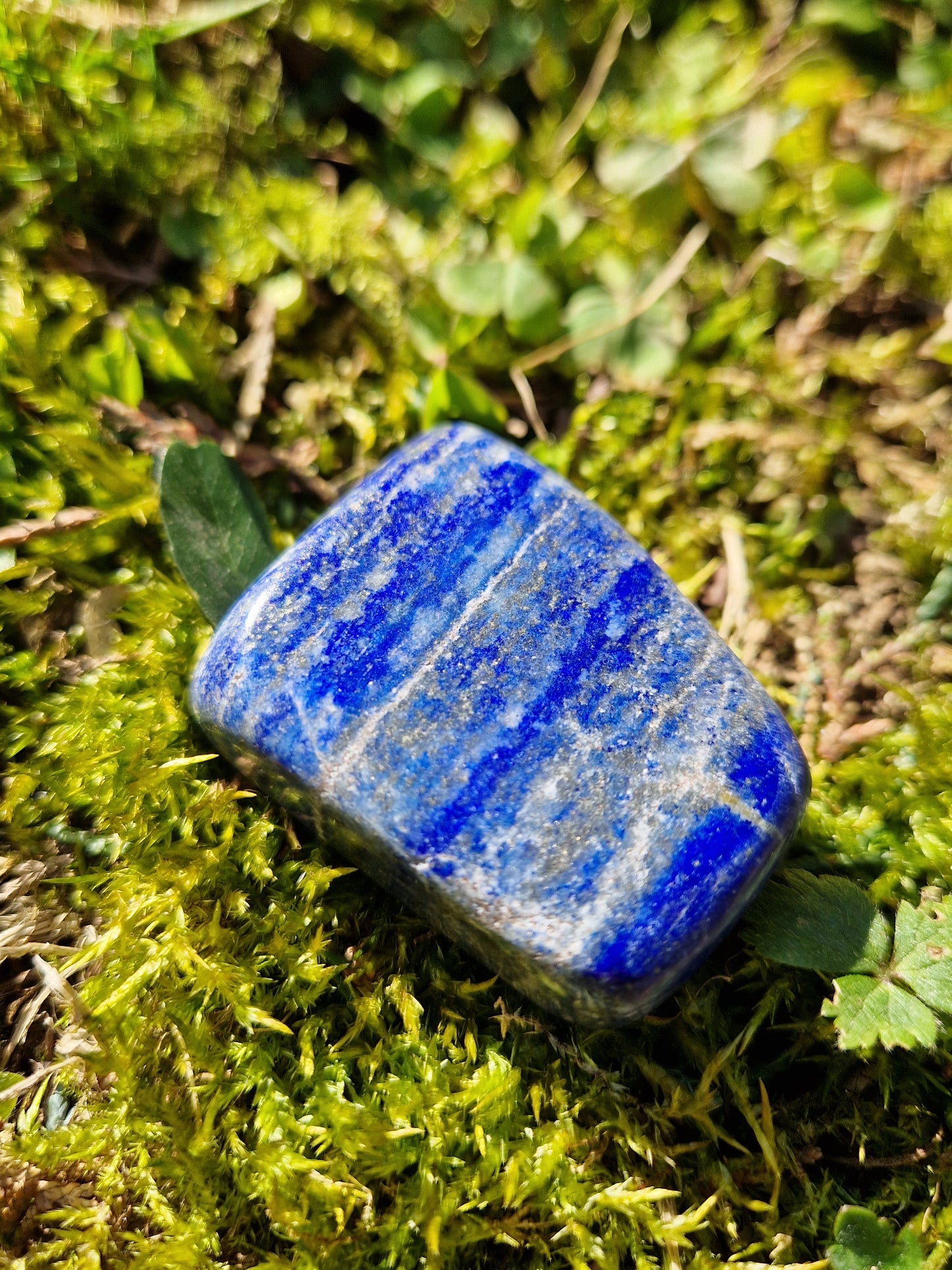 Forme libre Lapis Lazuli (à choisir)