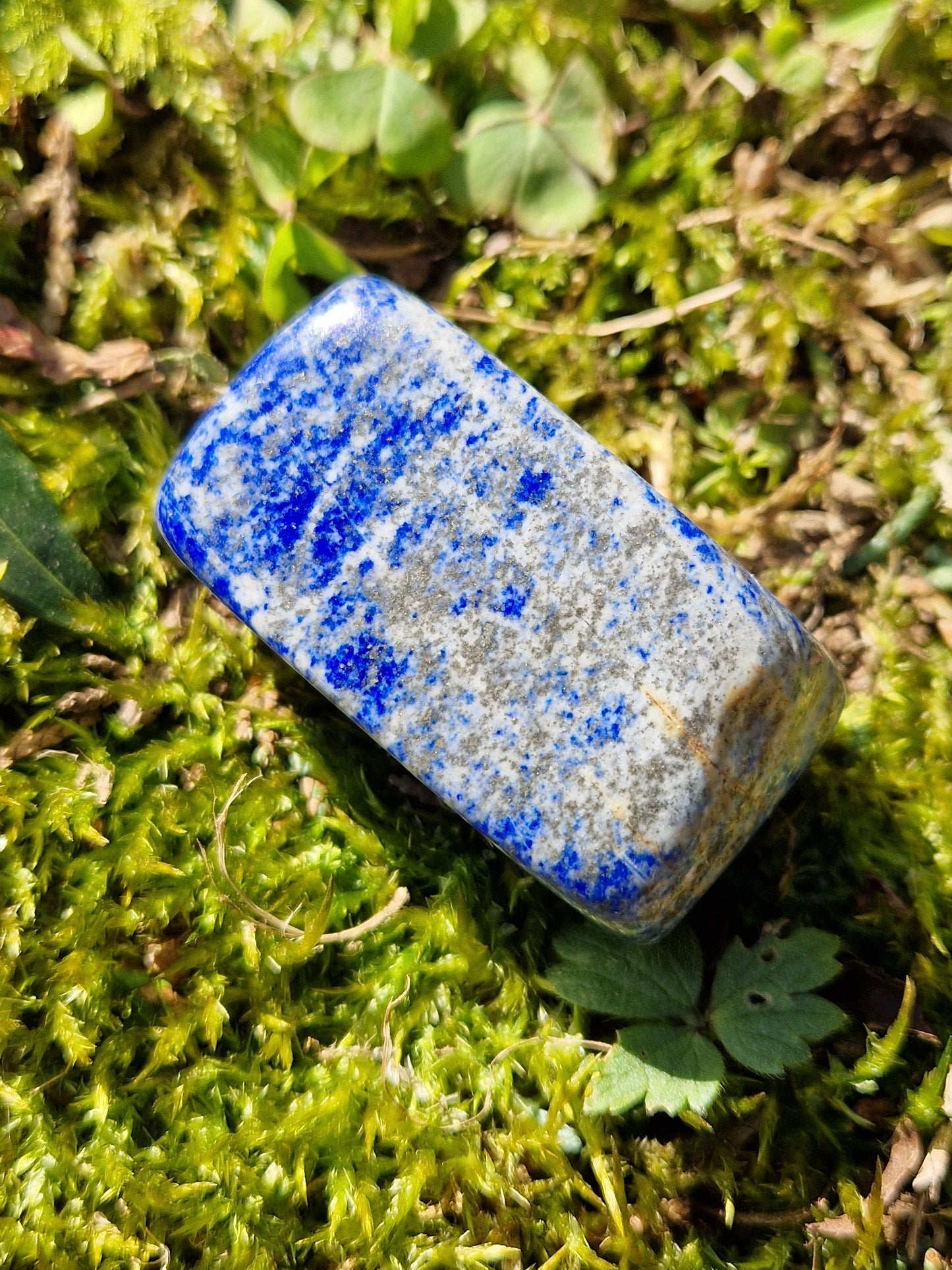 Forme libre Lapis Lazuli (à choisir)