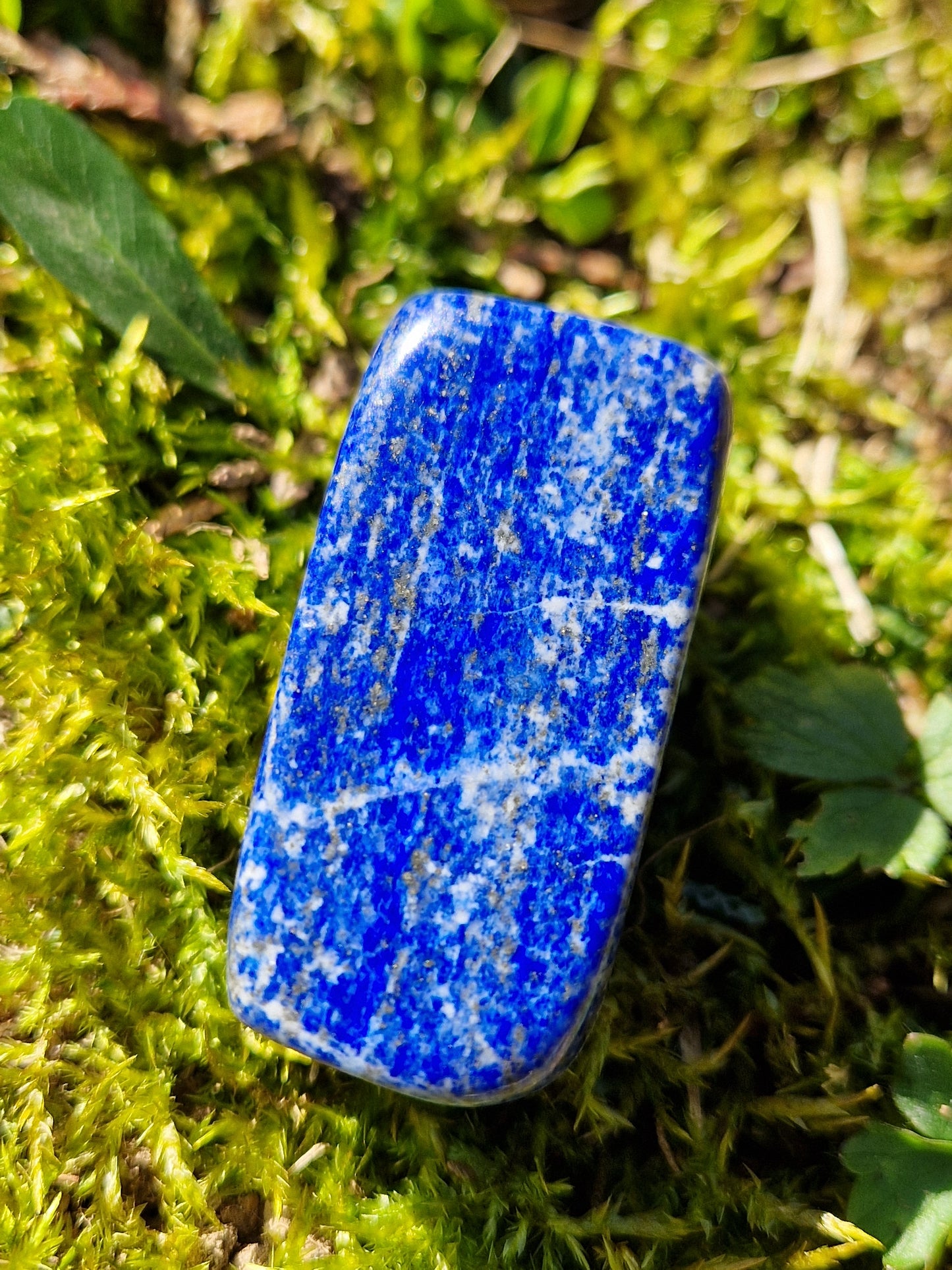 Forme libre Lapis Lazuli (à choisir)
