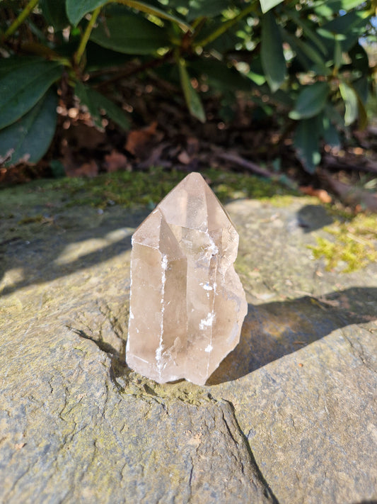 Pointe double semi brute Quartz fumé A