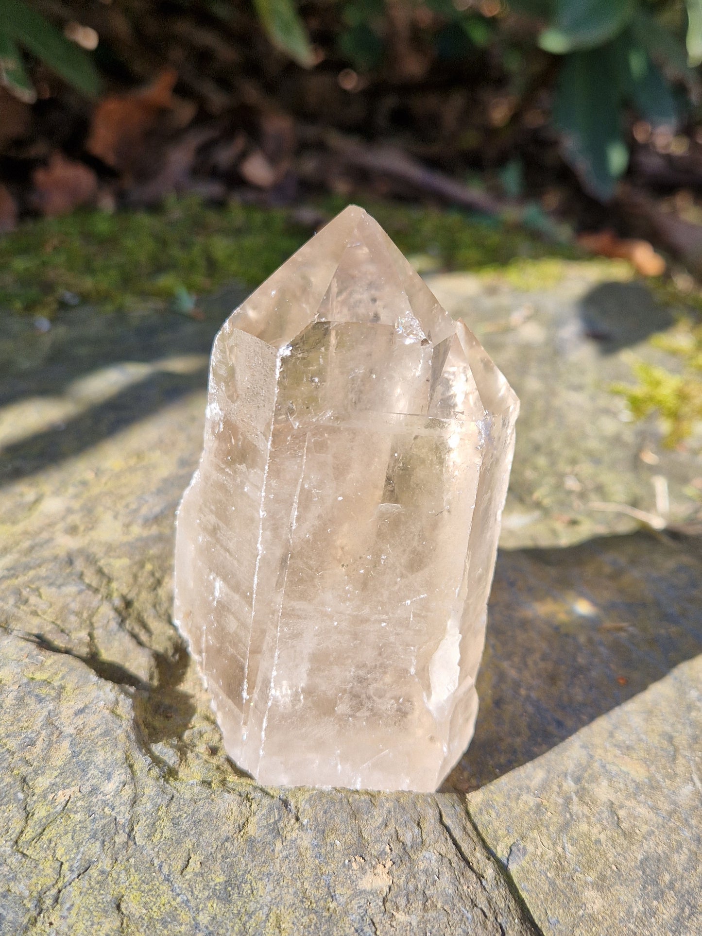 Pointe double semi brute Quartz fumé A