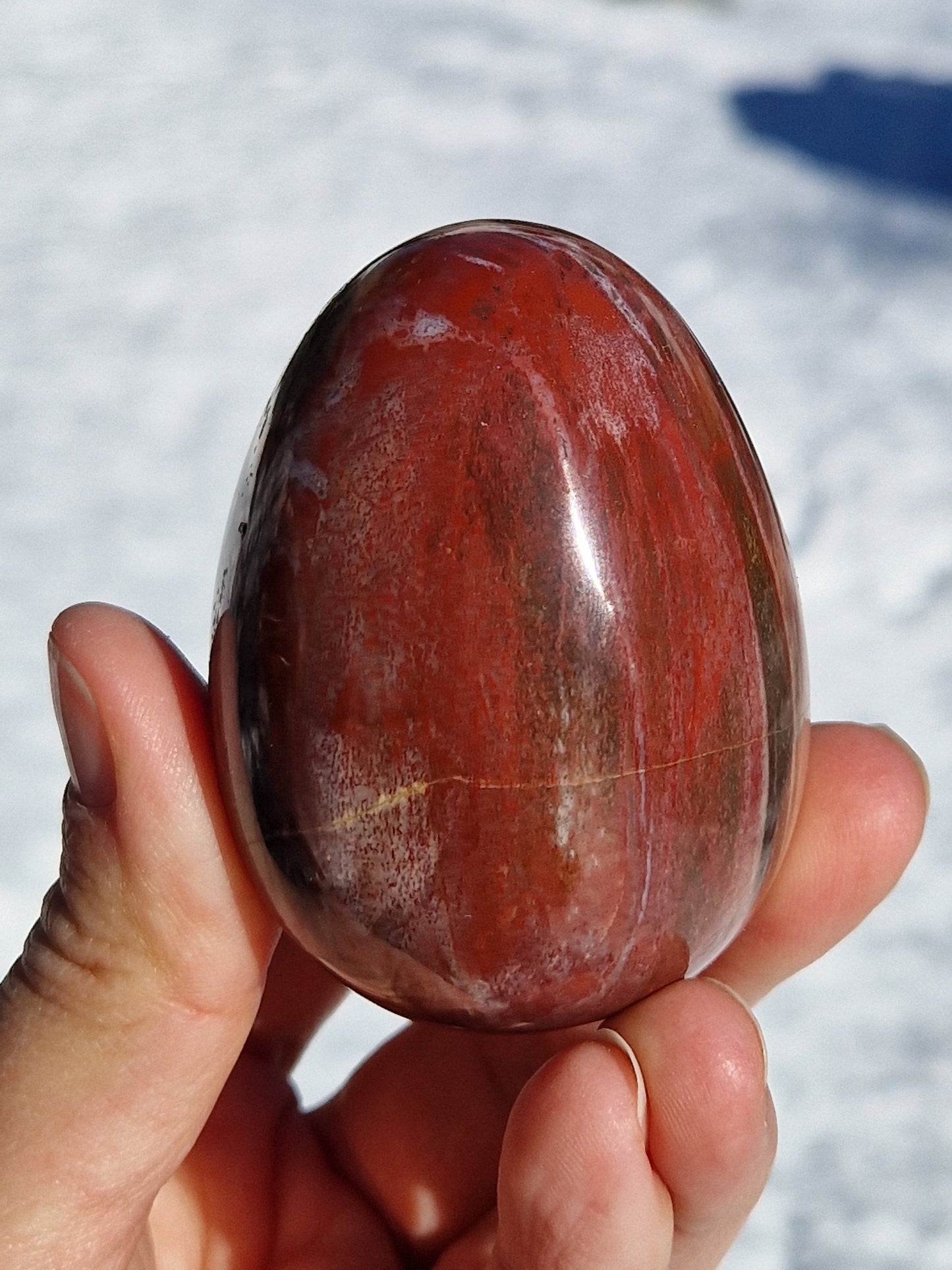 Oeuf en Bois fossile n°2
