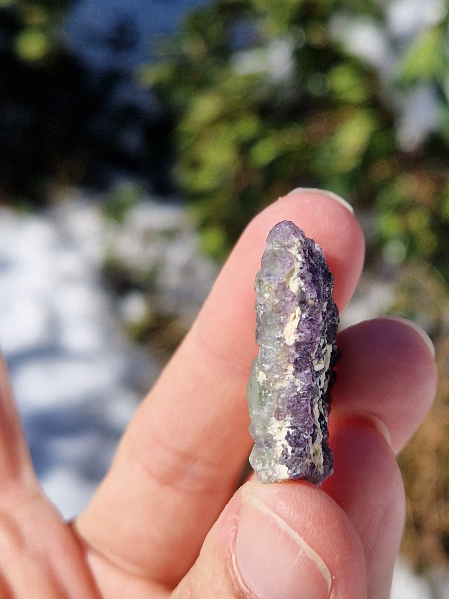 Fluorite brute D