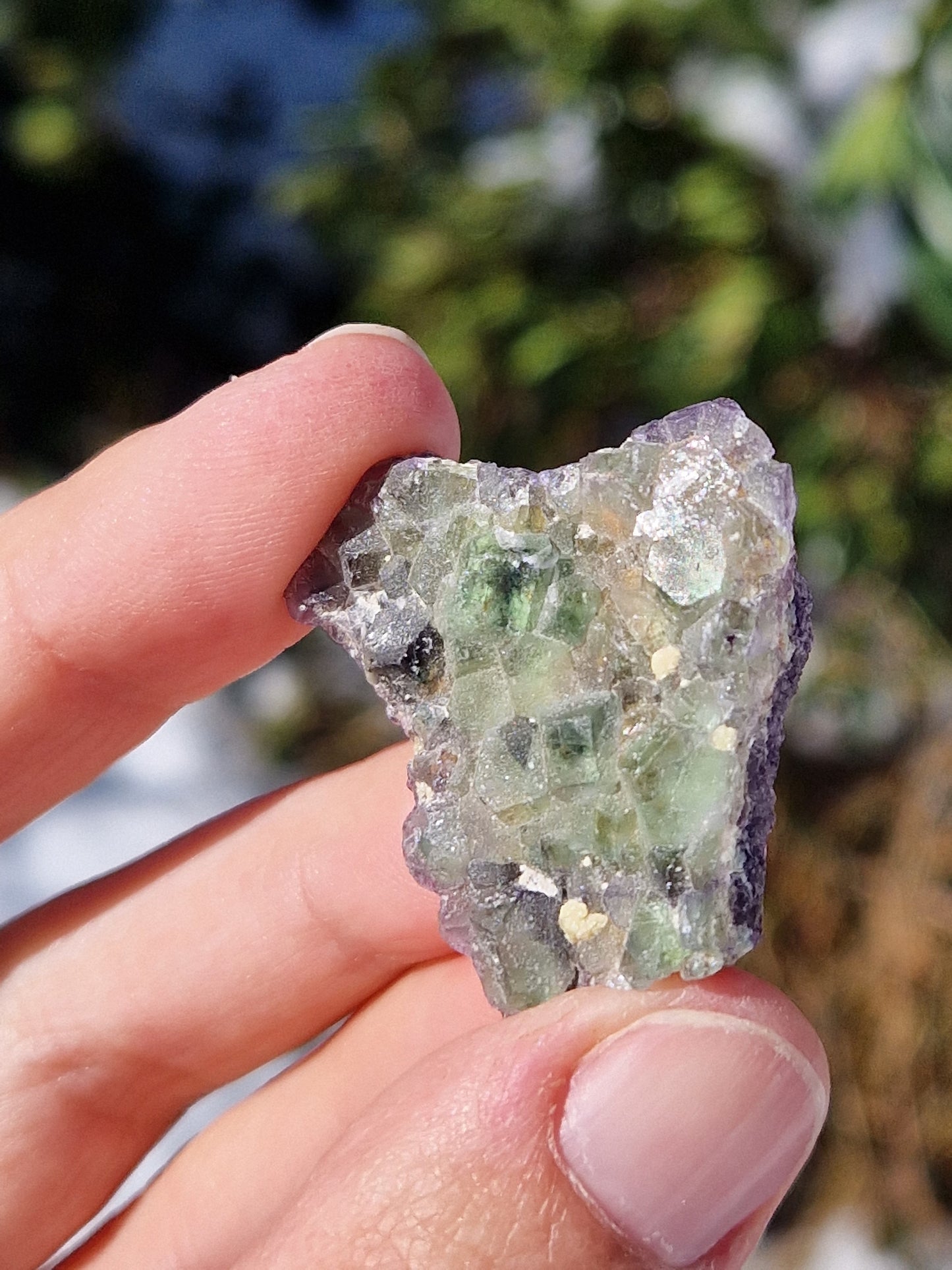 Fluorite brute D