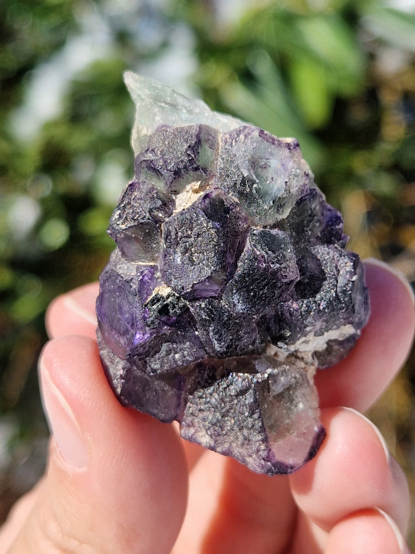 Fluorite brute H
