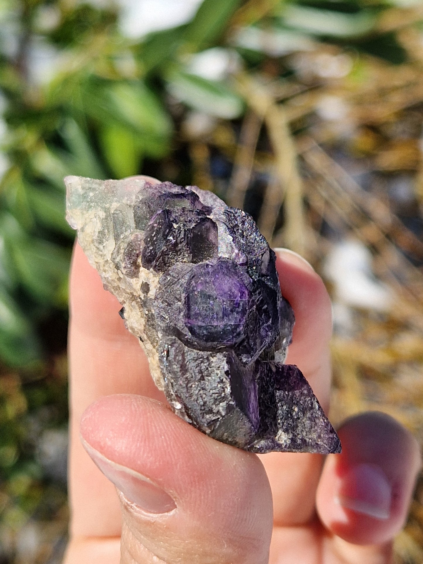 Fluorite brute H
