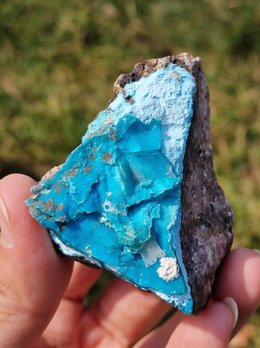 Chrysocolle brute druzy (à choisir)