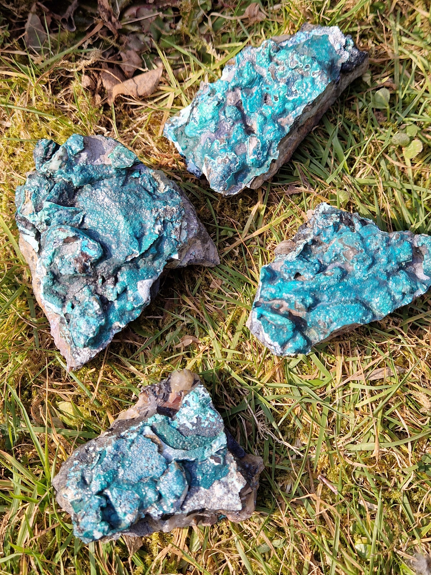 Malachite avec Chrysocolle brute du Congo (à choisir)