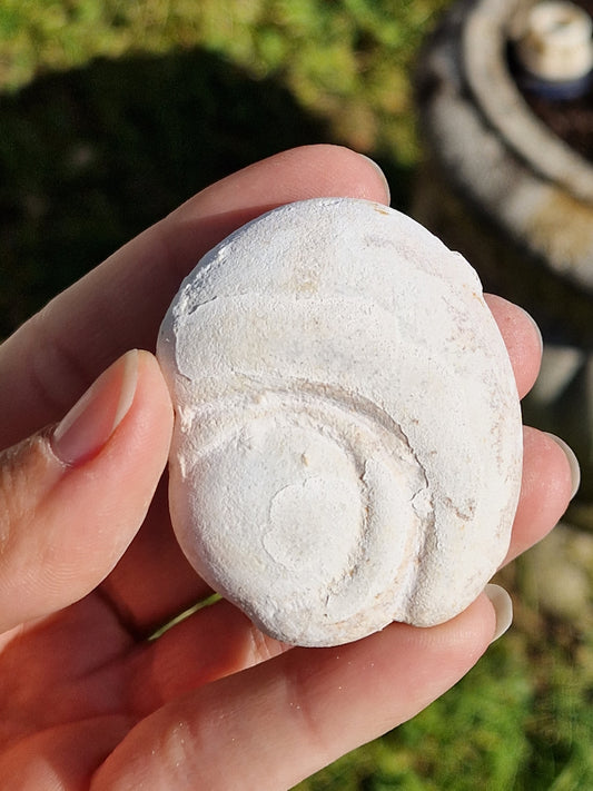 Pierre des fées du Maroc 13 à 25 (à choisir)