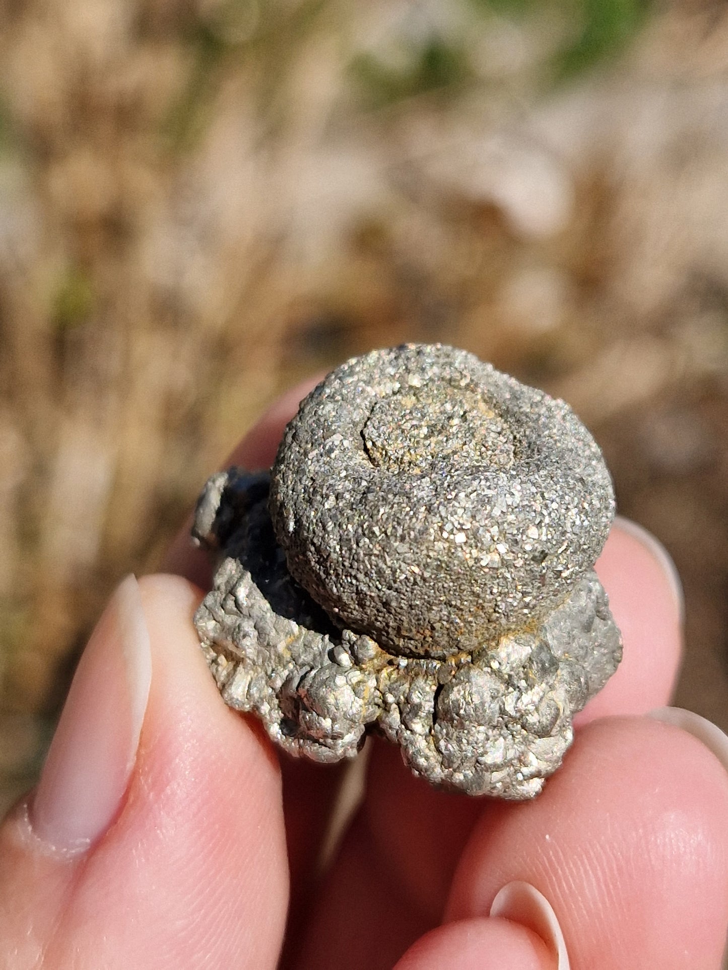 Pyrite d'Espagne (à choisir)
