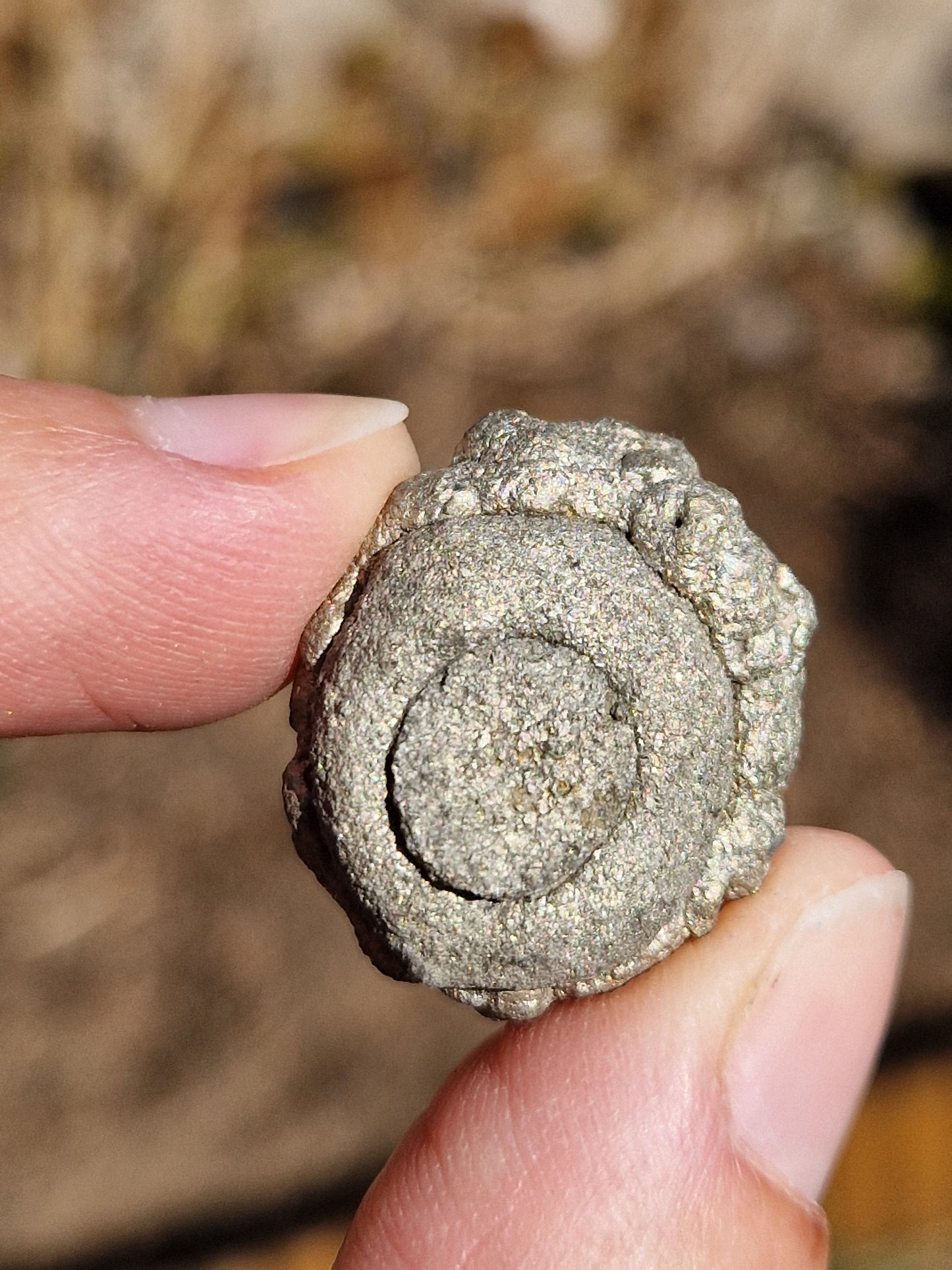 Pyrite d'Espagne (à choisir)