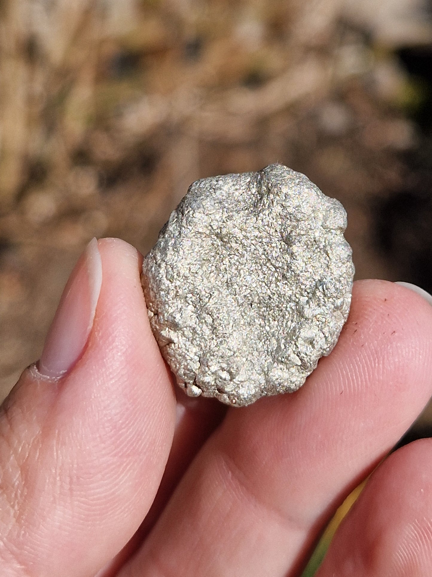 Pyrite d'Espagne (à choisir)