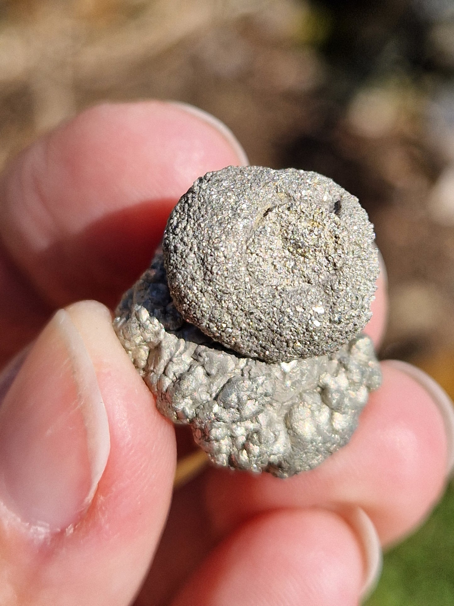 Pyrite d'Espagne (à choisir)