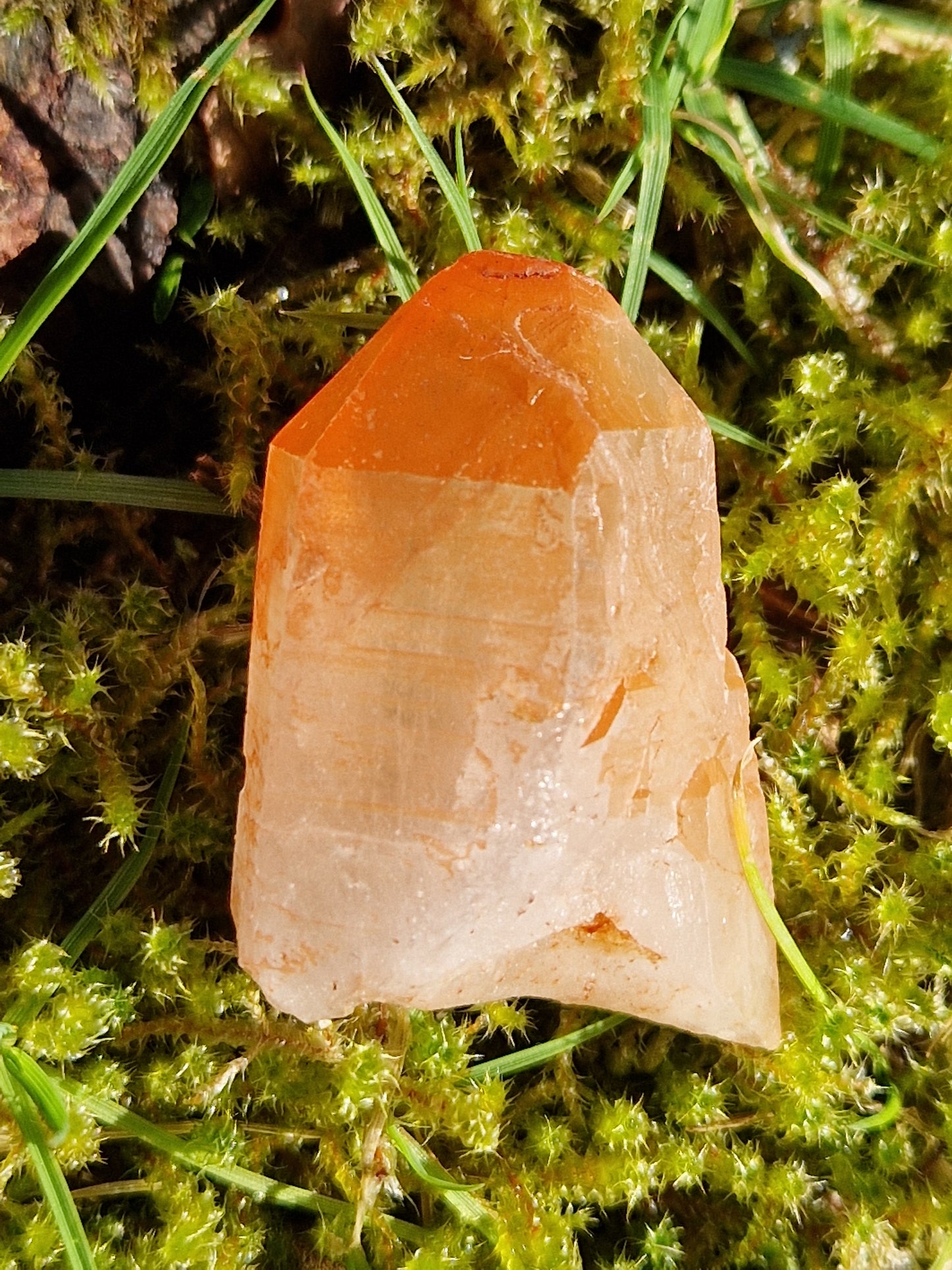 Petit Lémurien Quartz Tangérine (à choisir)