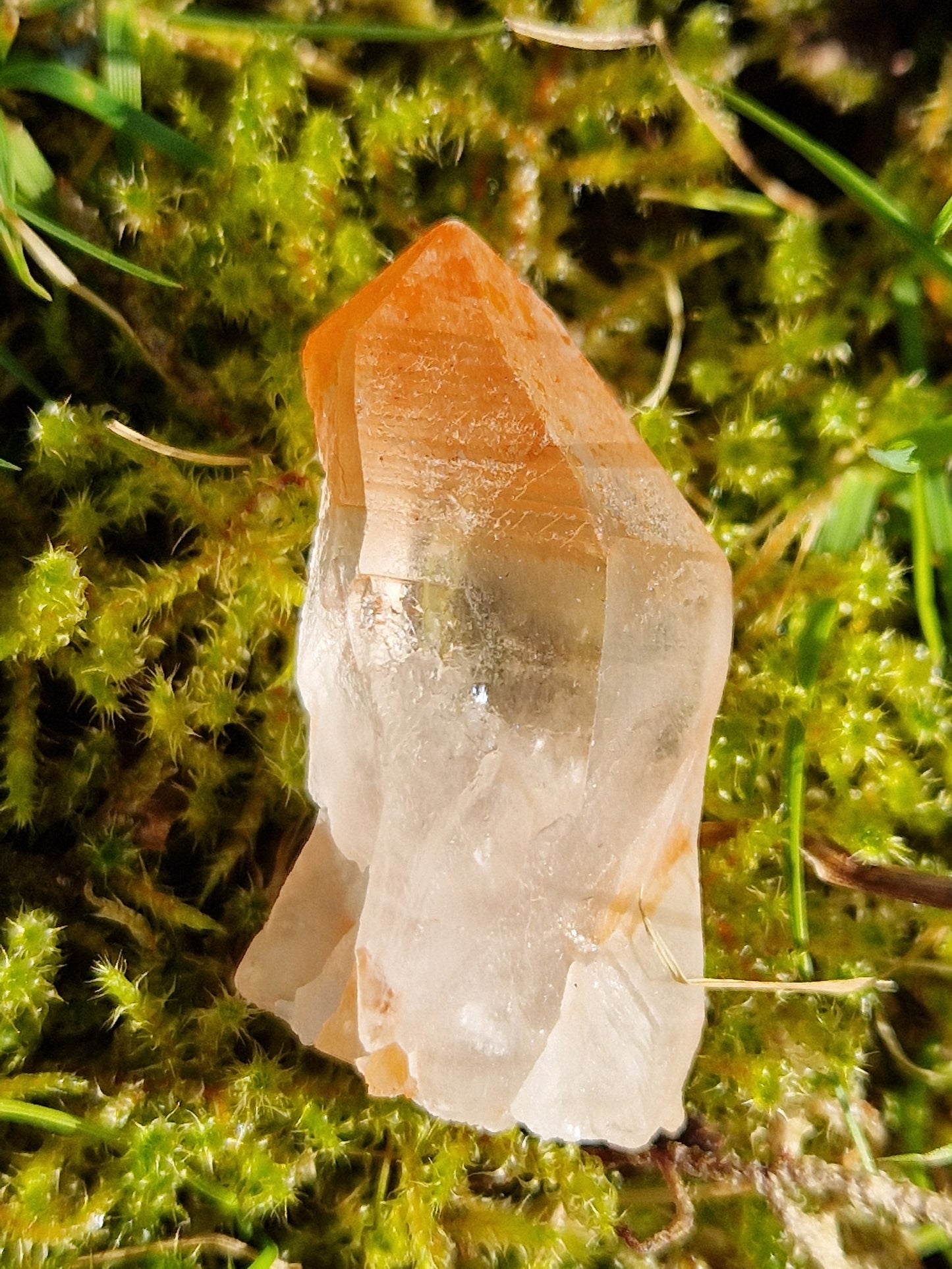 Petit Lémurien Quartz Tangérine (à choisir)