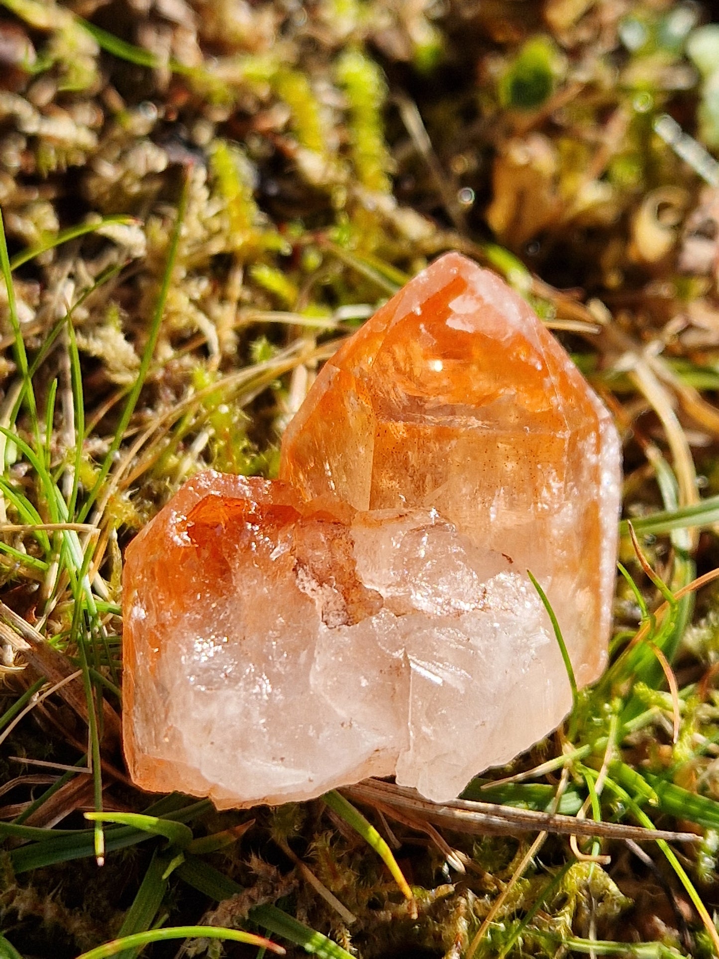Petit Lémurien Quartz Tangérine (à choisir)