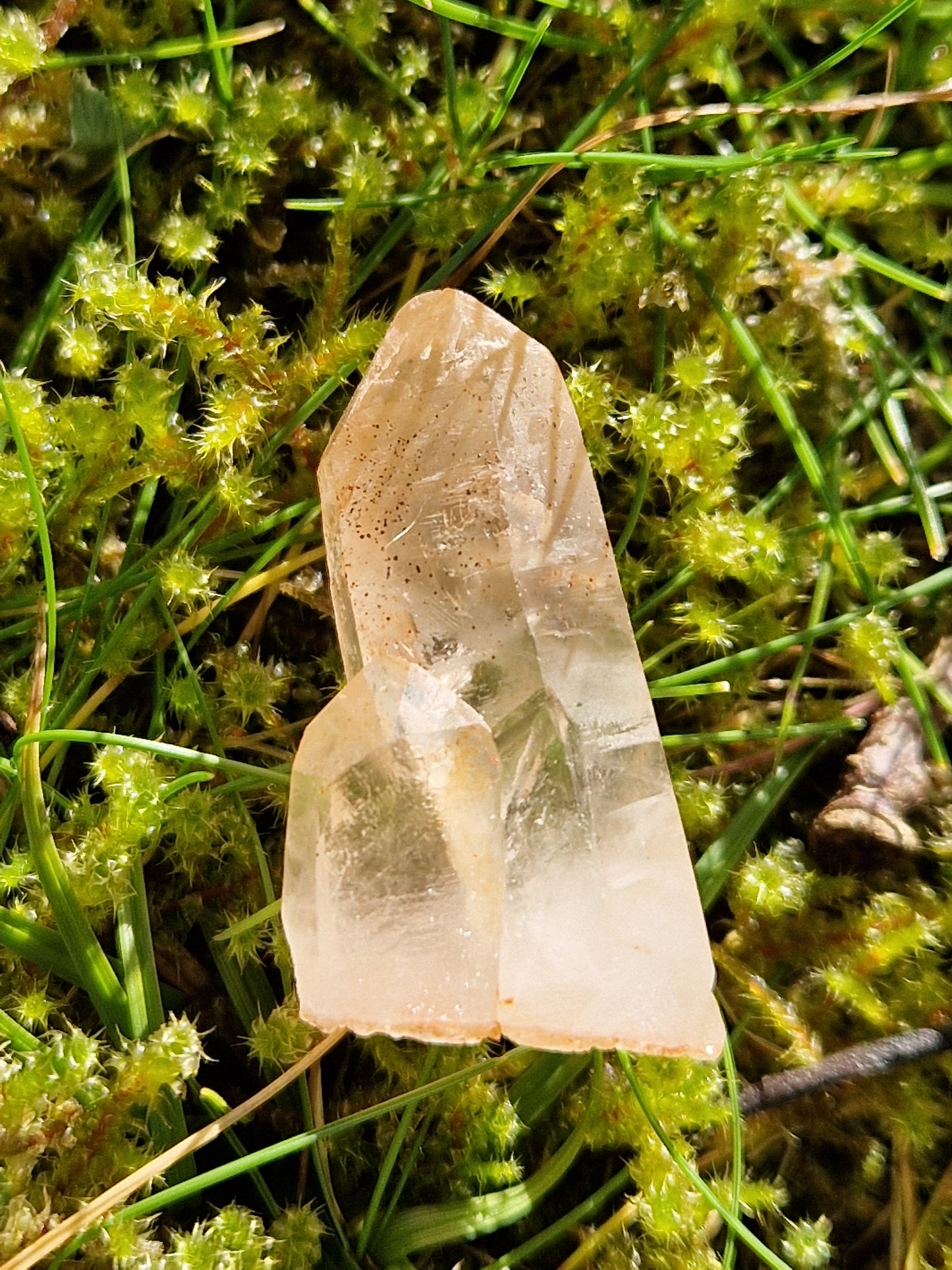 Petit Lémurien Quartz Tangérine (à choisir)