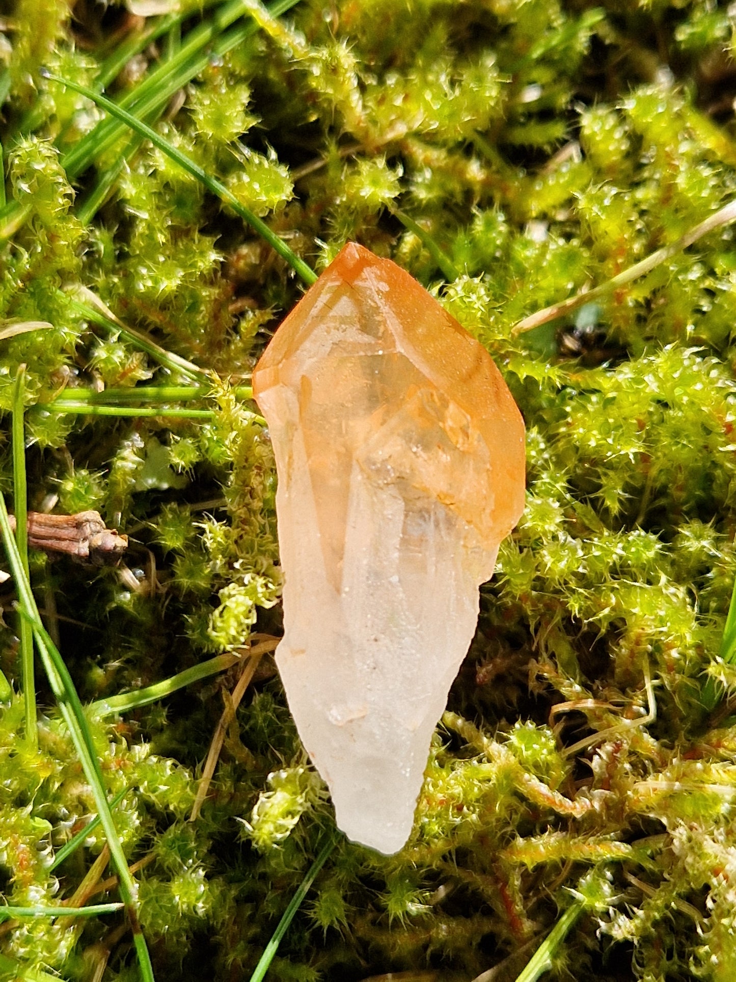 Petit Lémurien Quartz Tangérine (à choisir)