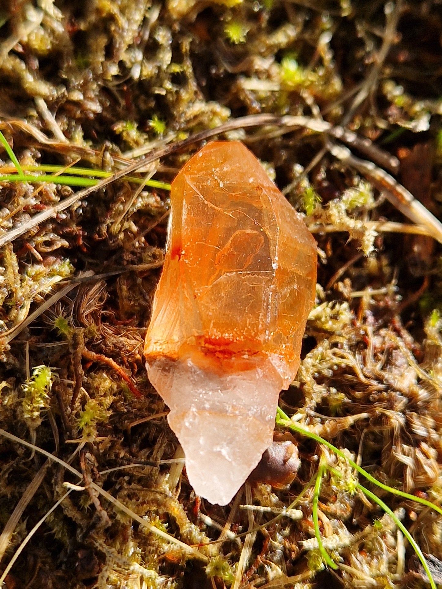 Petit Lémurien Quartz Tangérine (à choisir)