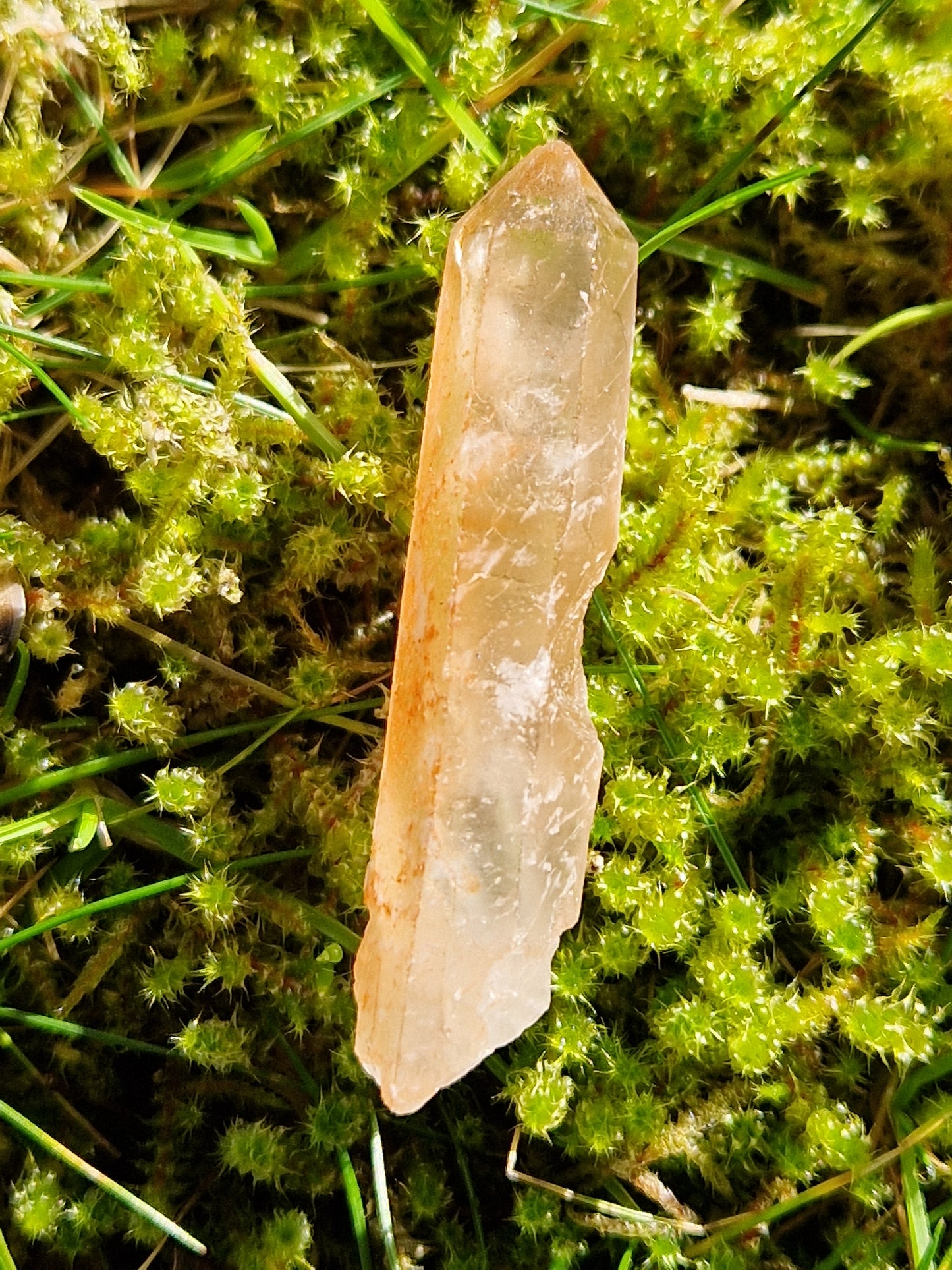 Petit Lémurien Quartz Tangérine (à choisir)