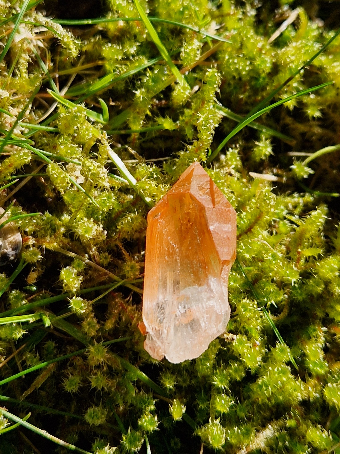 Petit Lémurien Quartz Tangérine (à choisir)