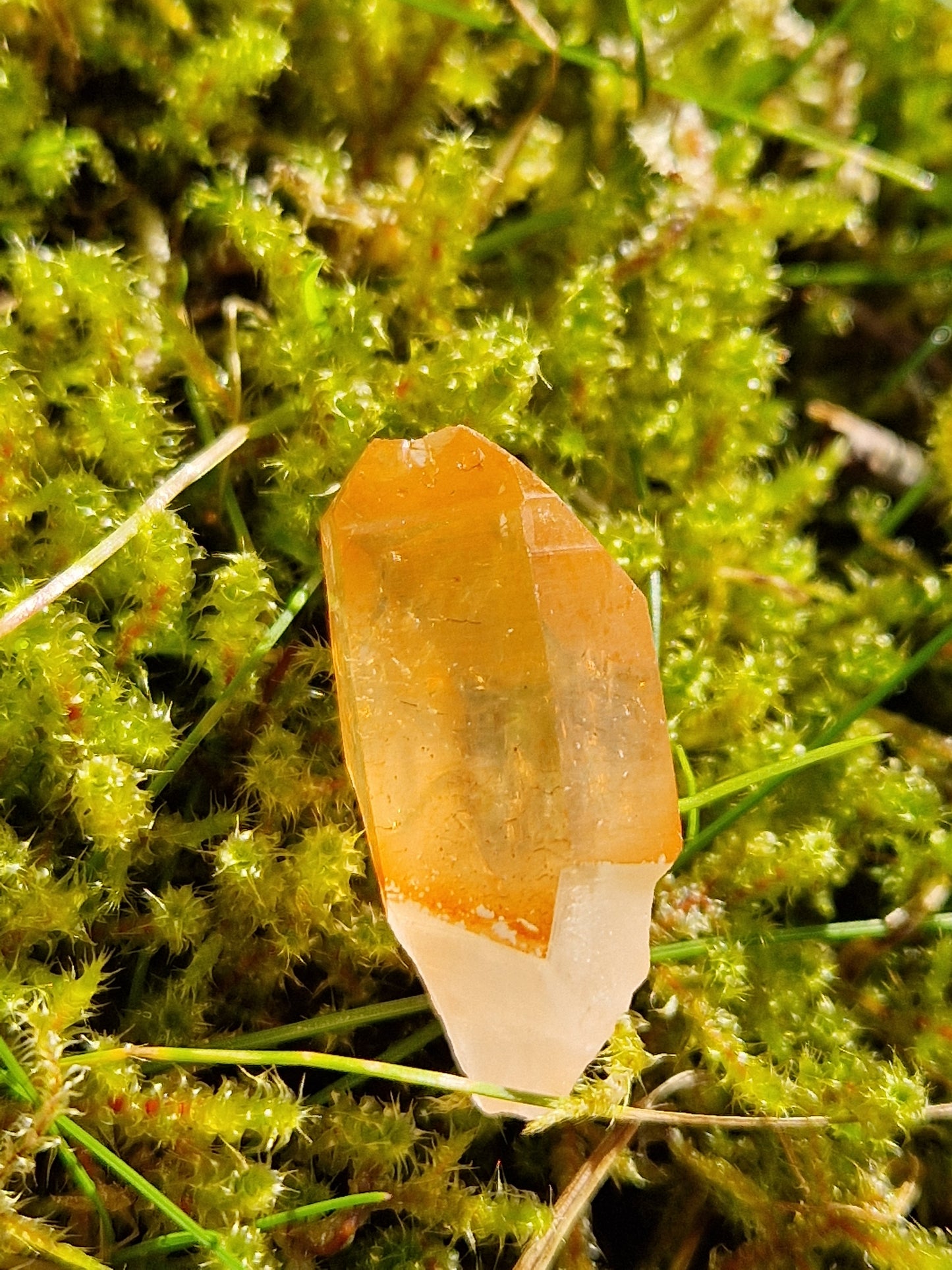 Petit Lémurien Quartz Tangérine (à choisir)