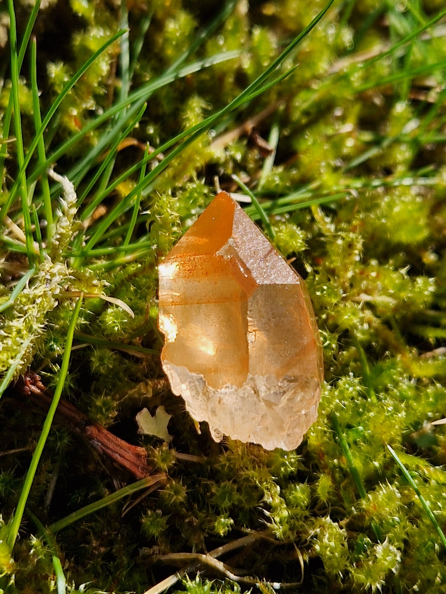 Petit Lémurien Quartz Tangérine (à choisir)