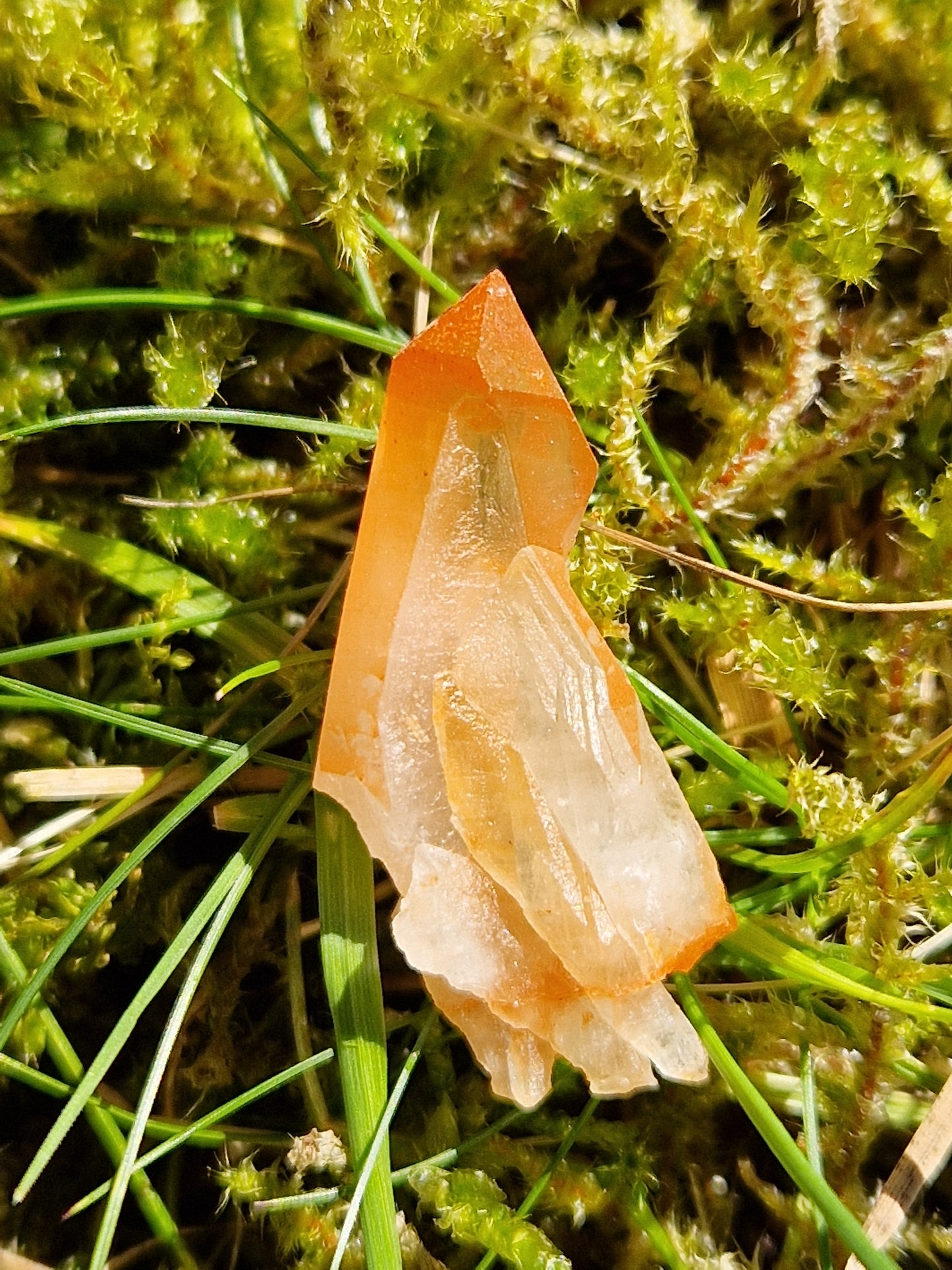 Petit Lémurien Quartz Tangérine (à choisir)