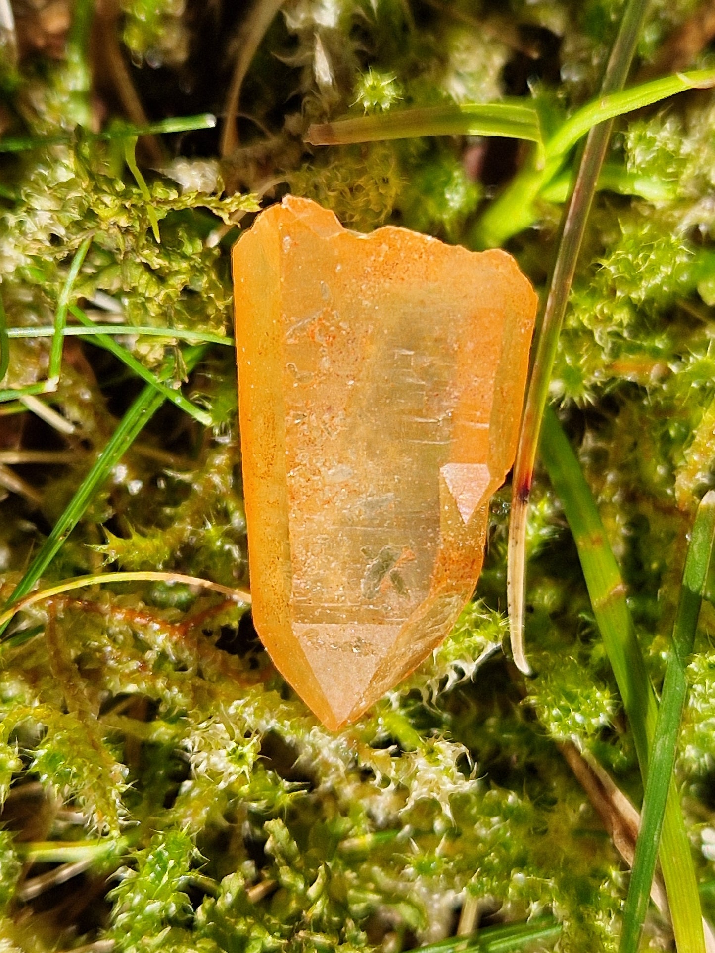 Petit Lémurien Quartz Tangérine (à choisir)