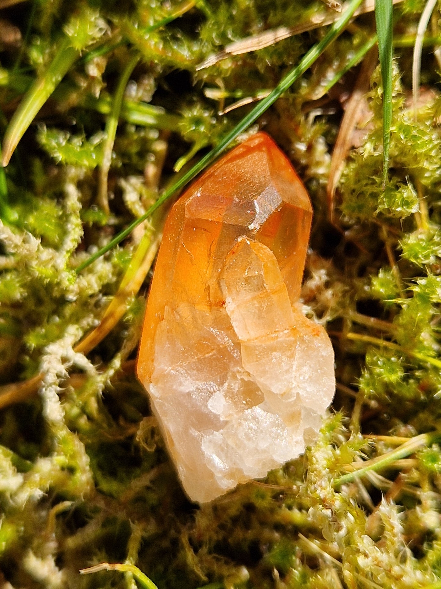 Petit Lémurien Quartz Tangérine (à choisir)