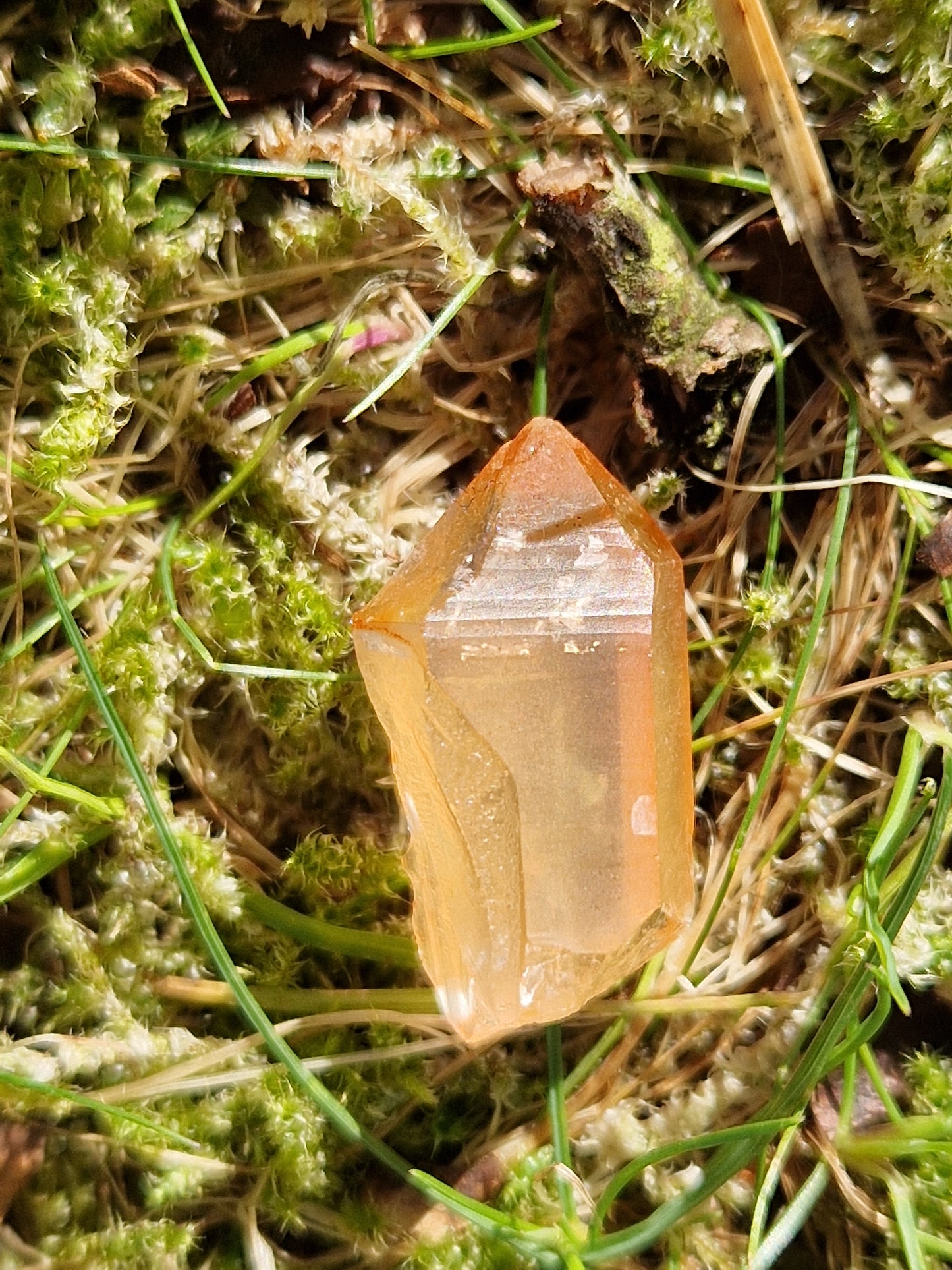 Petit Lémurien Quartz Tangérine (à choisir)