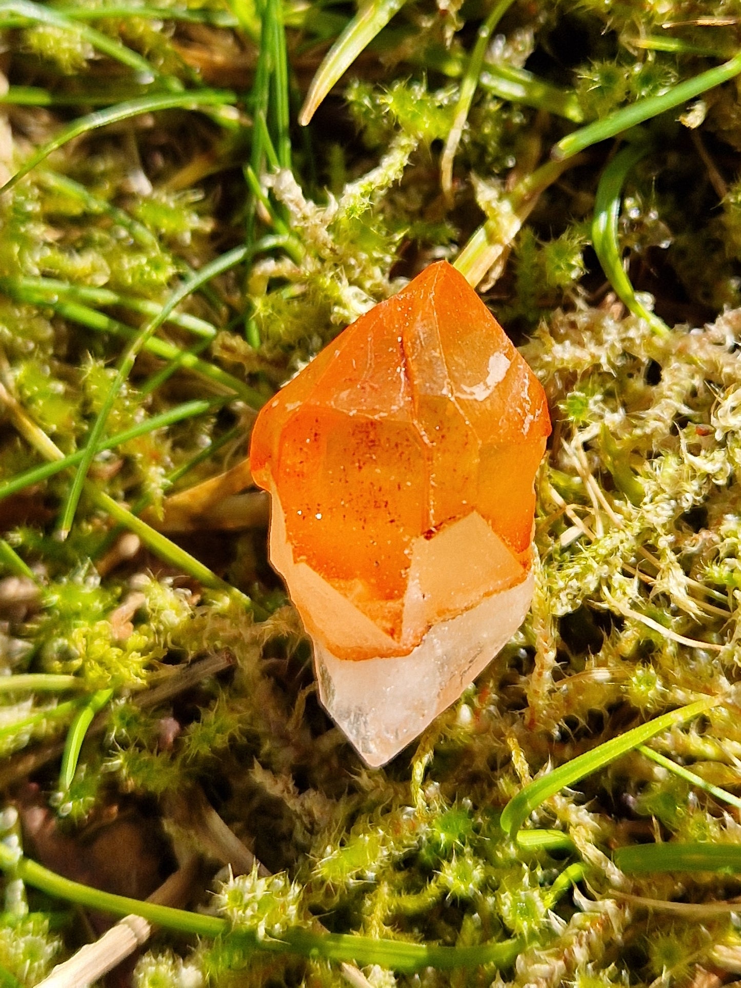 Petit Lémurien Quartz Tangérine (à choisir)