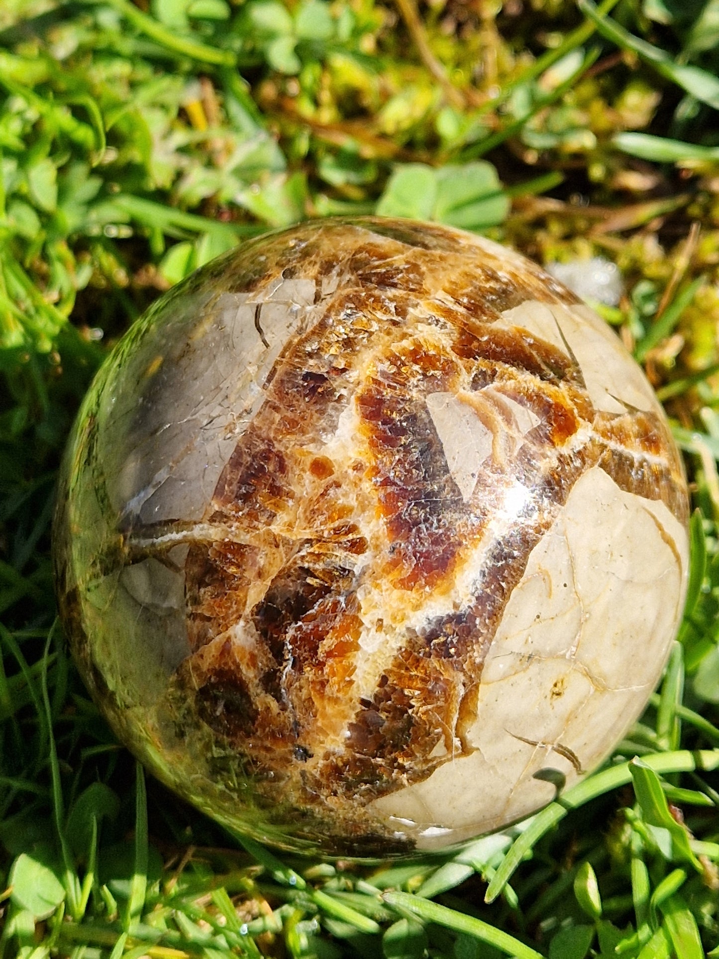 Sphère Septaria C