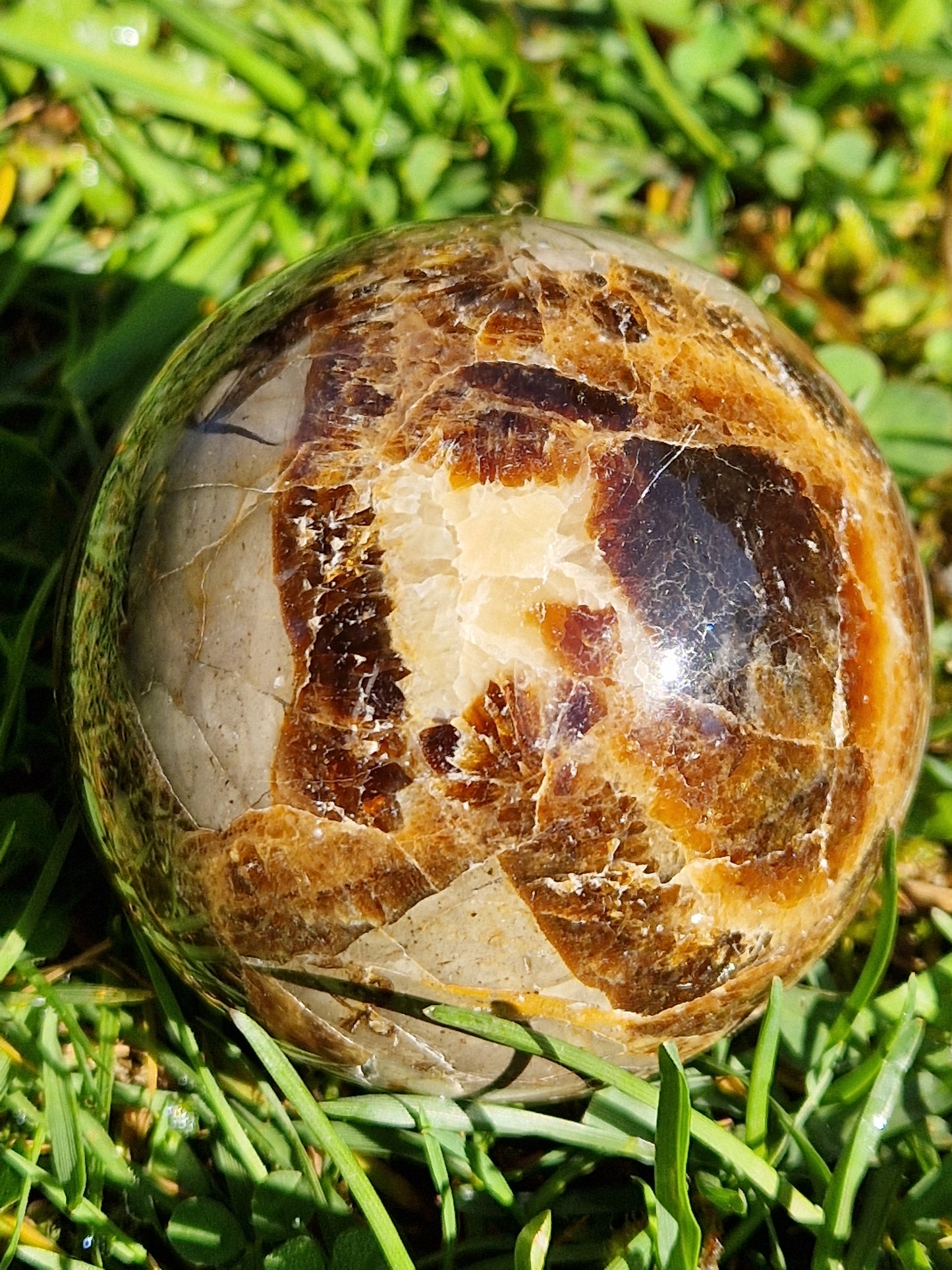 Sphère Septaria C