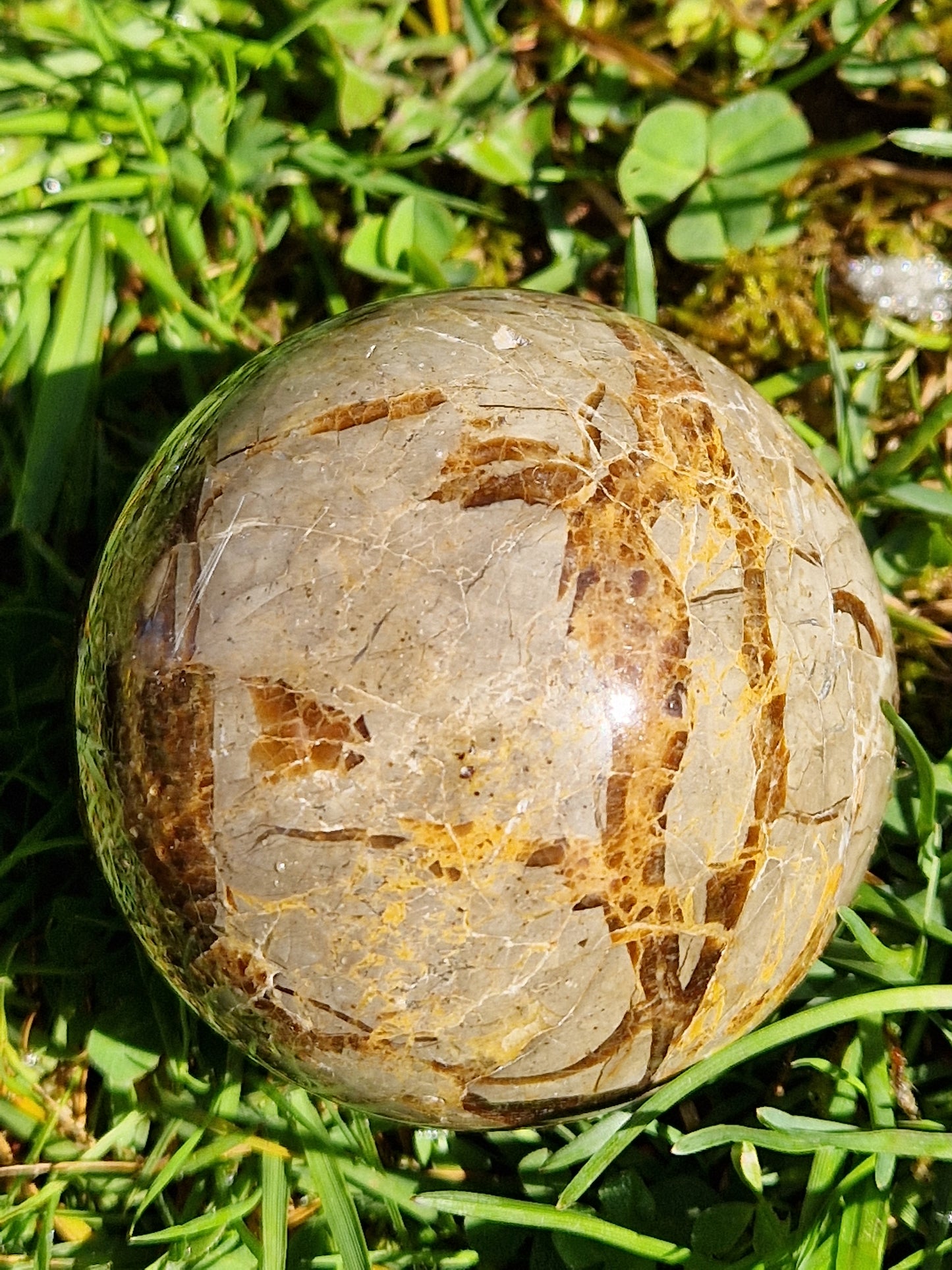 Sphère Septaria C